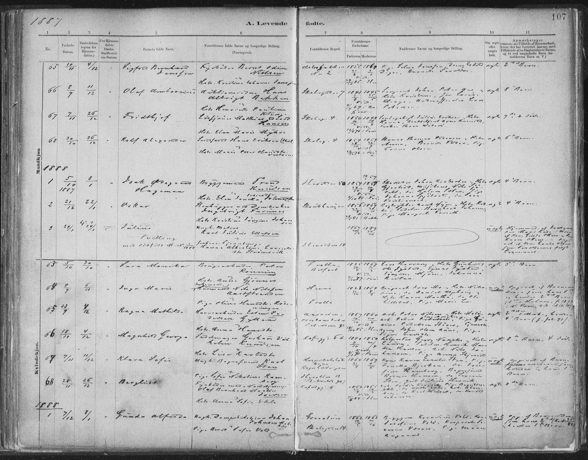 Ministerialprotokoller, klokkerbøker og fødselsregistre - Sør-Trøndelag, SAT/A-1456/603/L0162: Parish register (official) no. 603A01, 1879-1895, p. 107