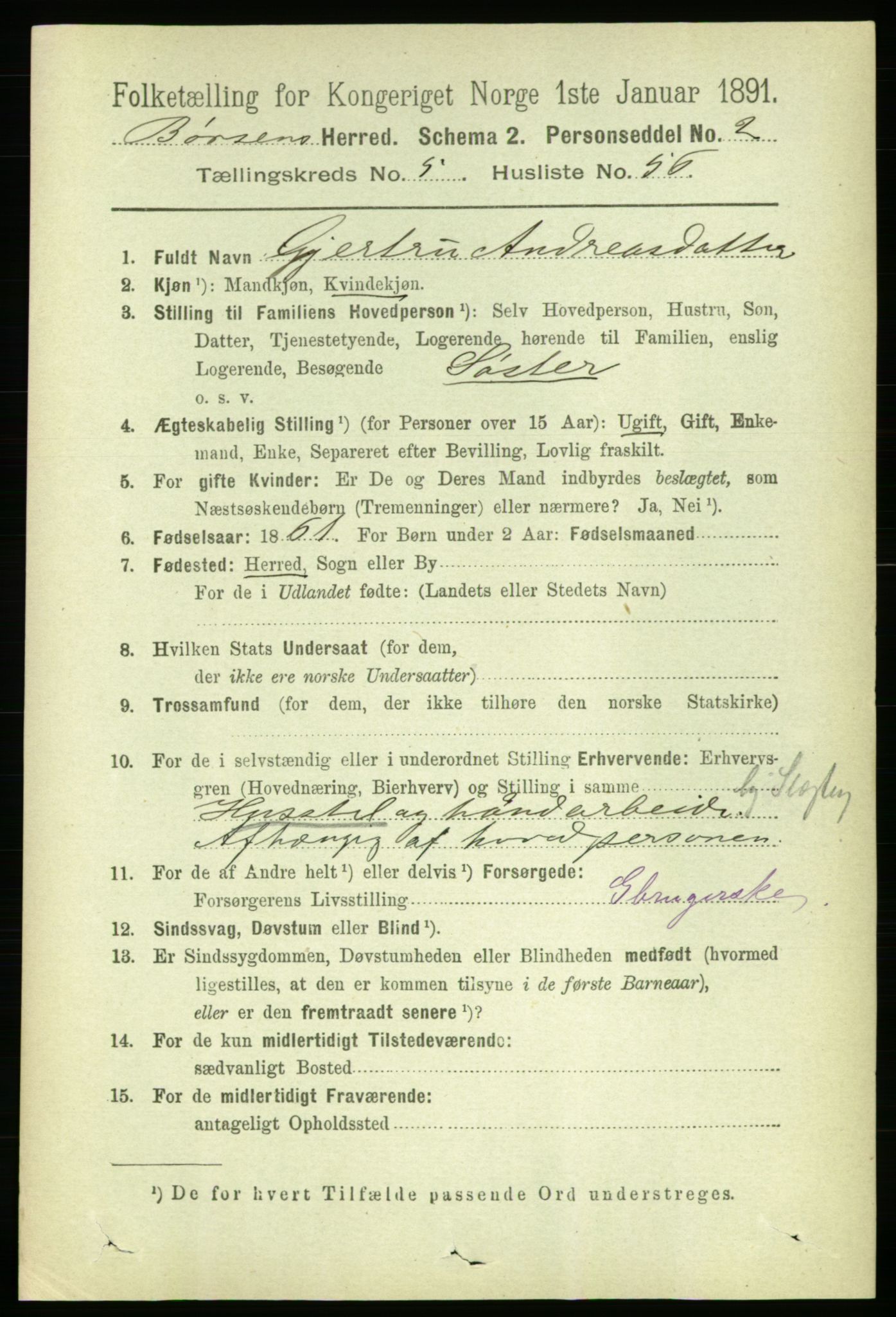 RA, 1891 census for 1658 Børsa, 1891, p. 2306