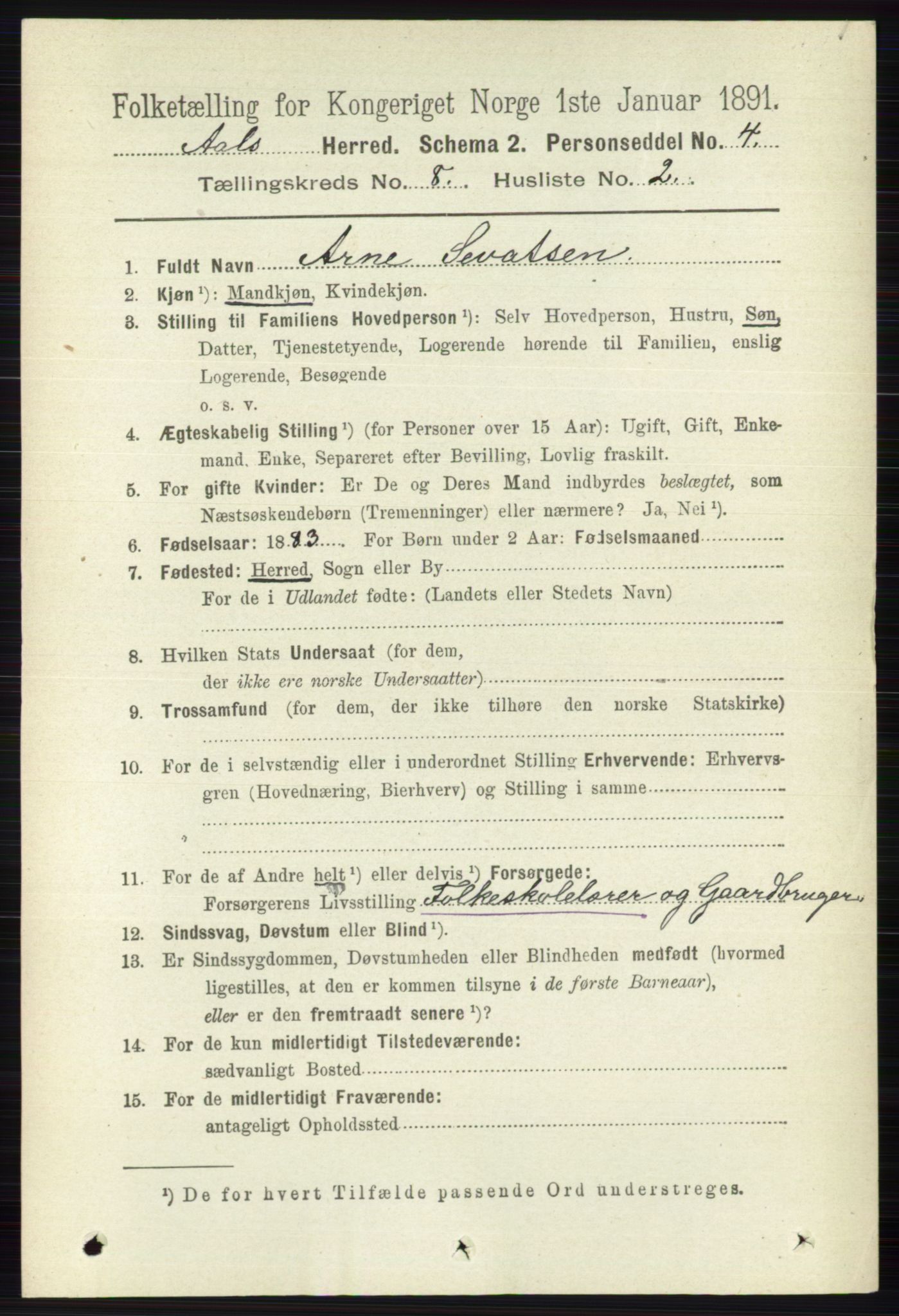 RA, 1891 census for 0619 Ål, 1891, p. 2102