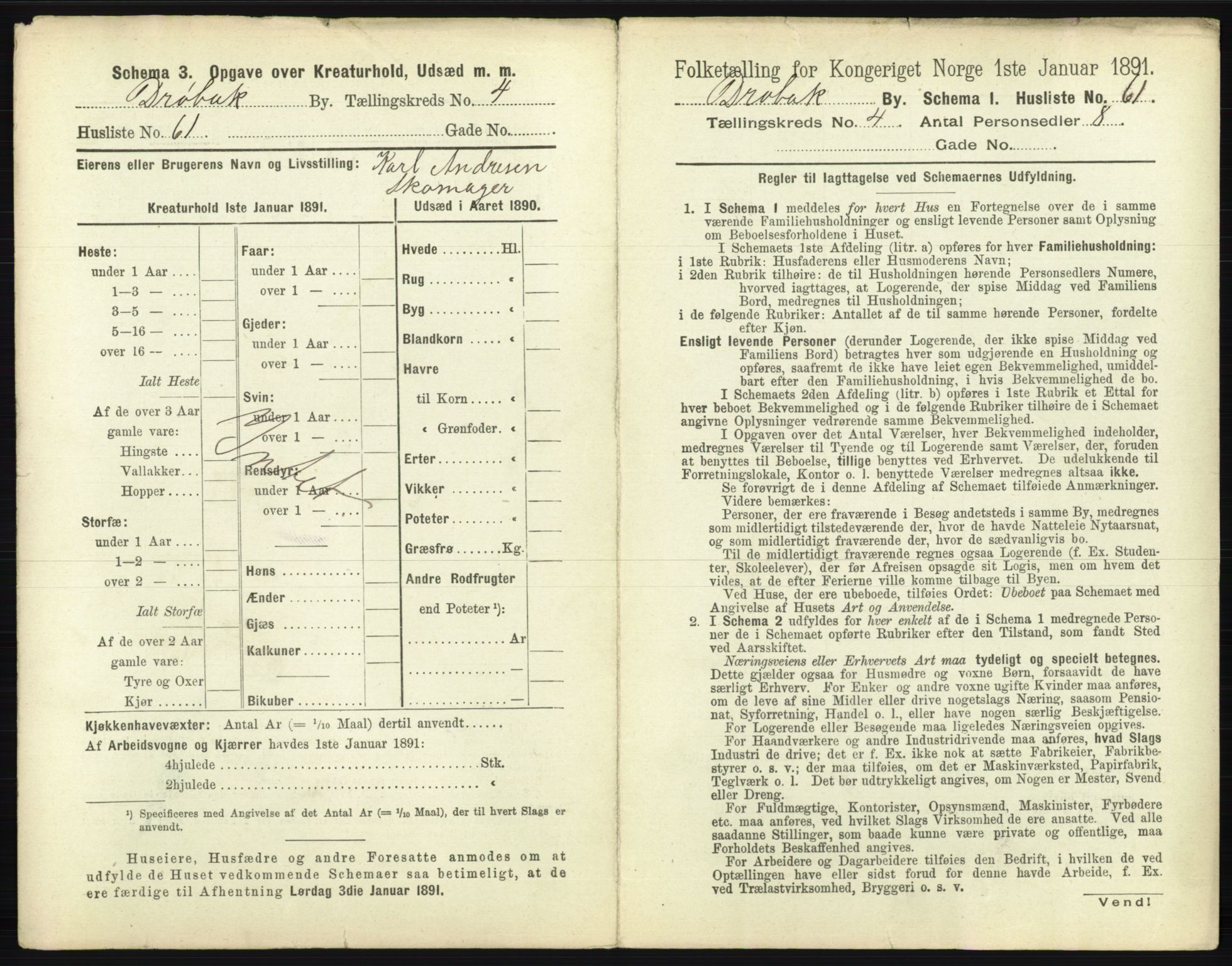 RA, 1891 census for 0203 Drøbak, 1891, p. 595