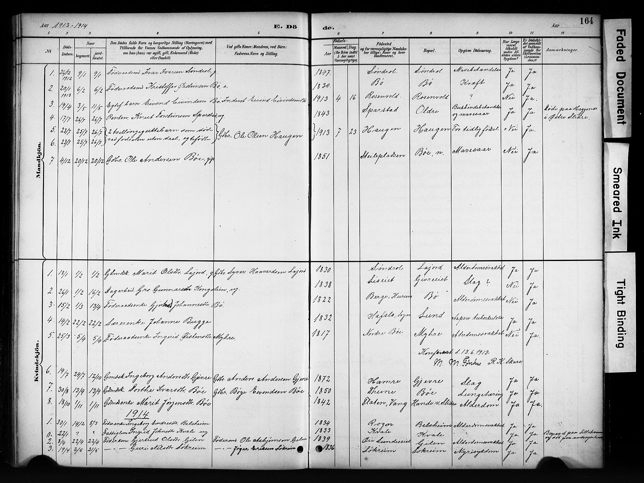 Vang prestekontor, Valdres, SAH/PREST-140/H/Hb/L0006: Parish register (copy) no. 6, 1893-1918, p. 164