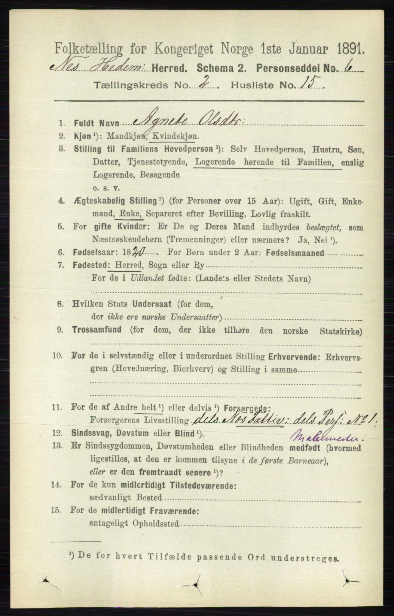 RA, 1891 census for 0411 Nes, 1891, p. 1165