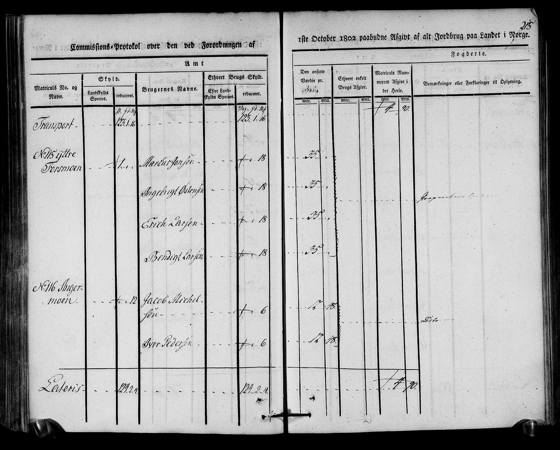 Rentekammeret inntil 1814, Realistisk ordnet avdeling, AV/RA-EA-4070/N/Ne/Nea/L0157: Helgeland fogderi. Kommisjonsprotokoll, 1803, p. 214