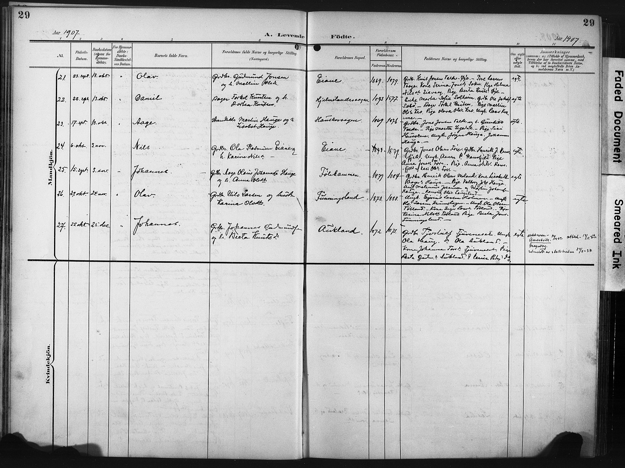 Hjelmeland sokneprestkontor, AV/SAST-A-101843/02/A/L0002: Parish register (official) no. A 17, 1901-1916, p. 29