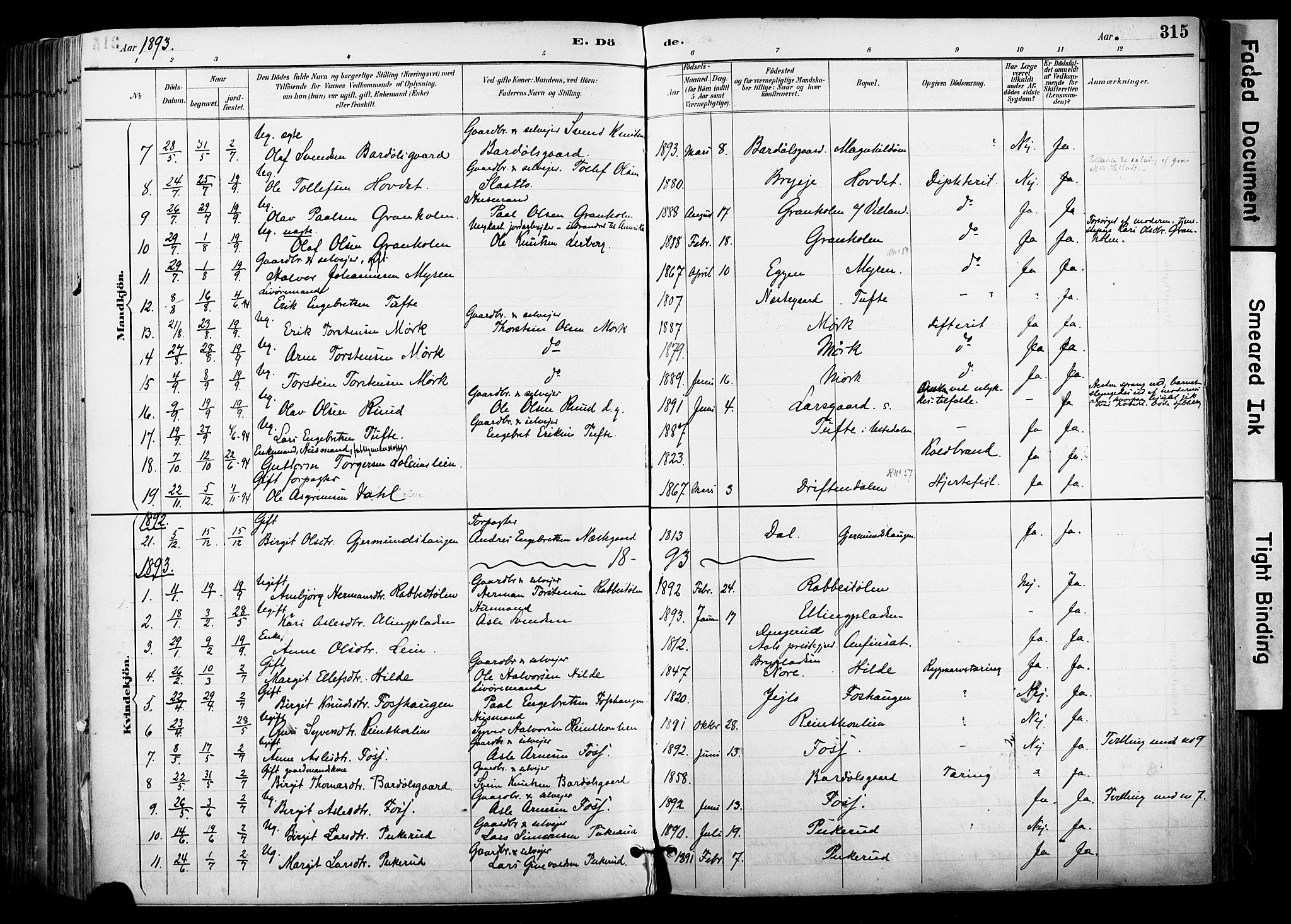 Hol kirkebøker, AV/SAKO-A-227/F/Fa/L0003: Parish register (official) no. I 3, 1887-1918, p. 315