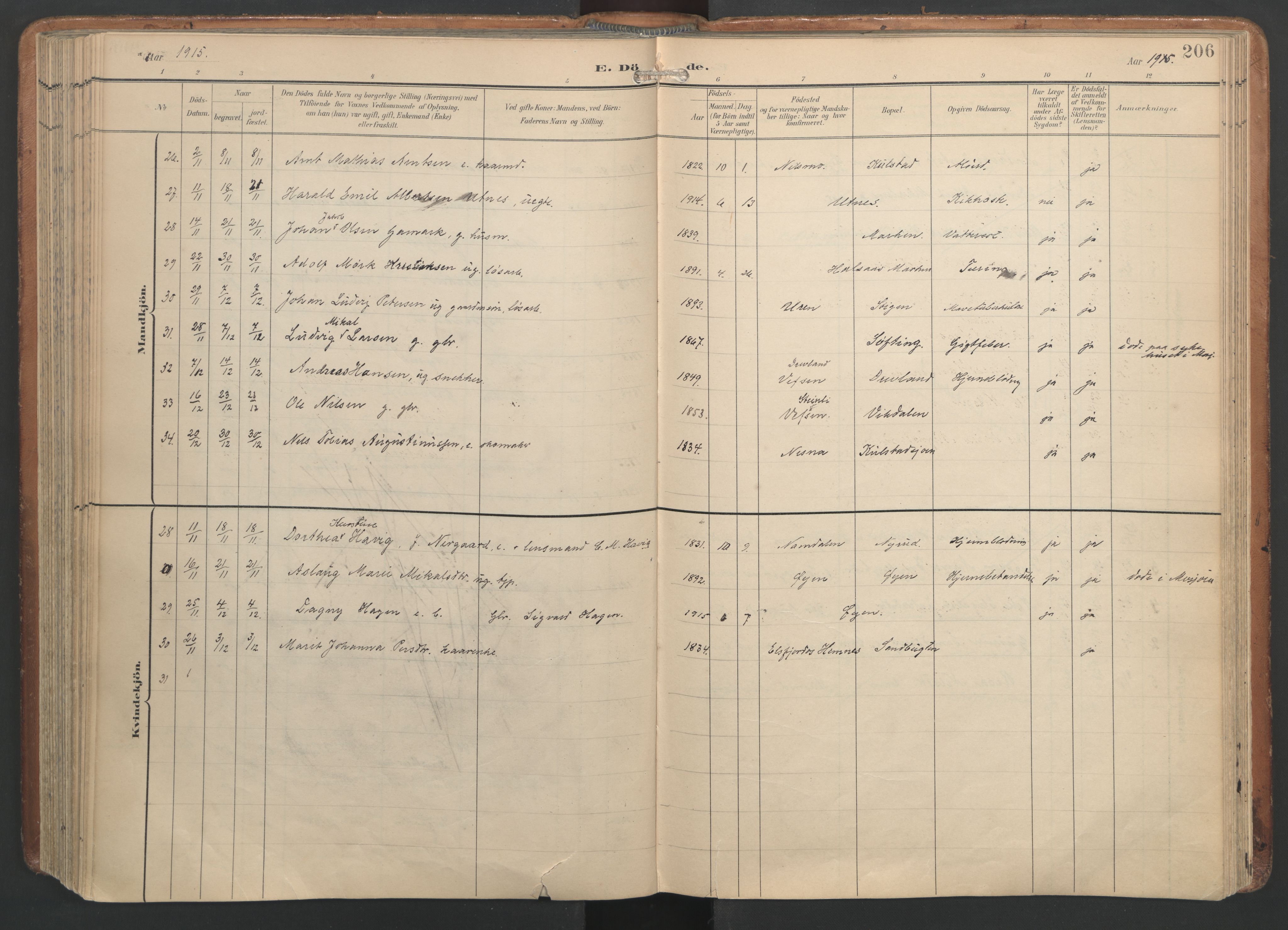 Ministerialprotokoller, klokkerbøker og fødselsregistre - Nordland, AV/SAT-A-1459/820/L0298: Parish register (official) no. 820A19, 1897-1915, p. 206