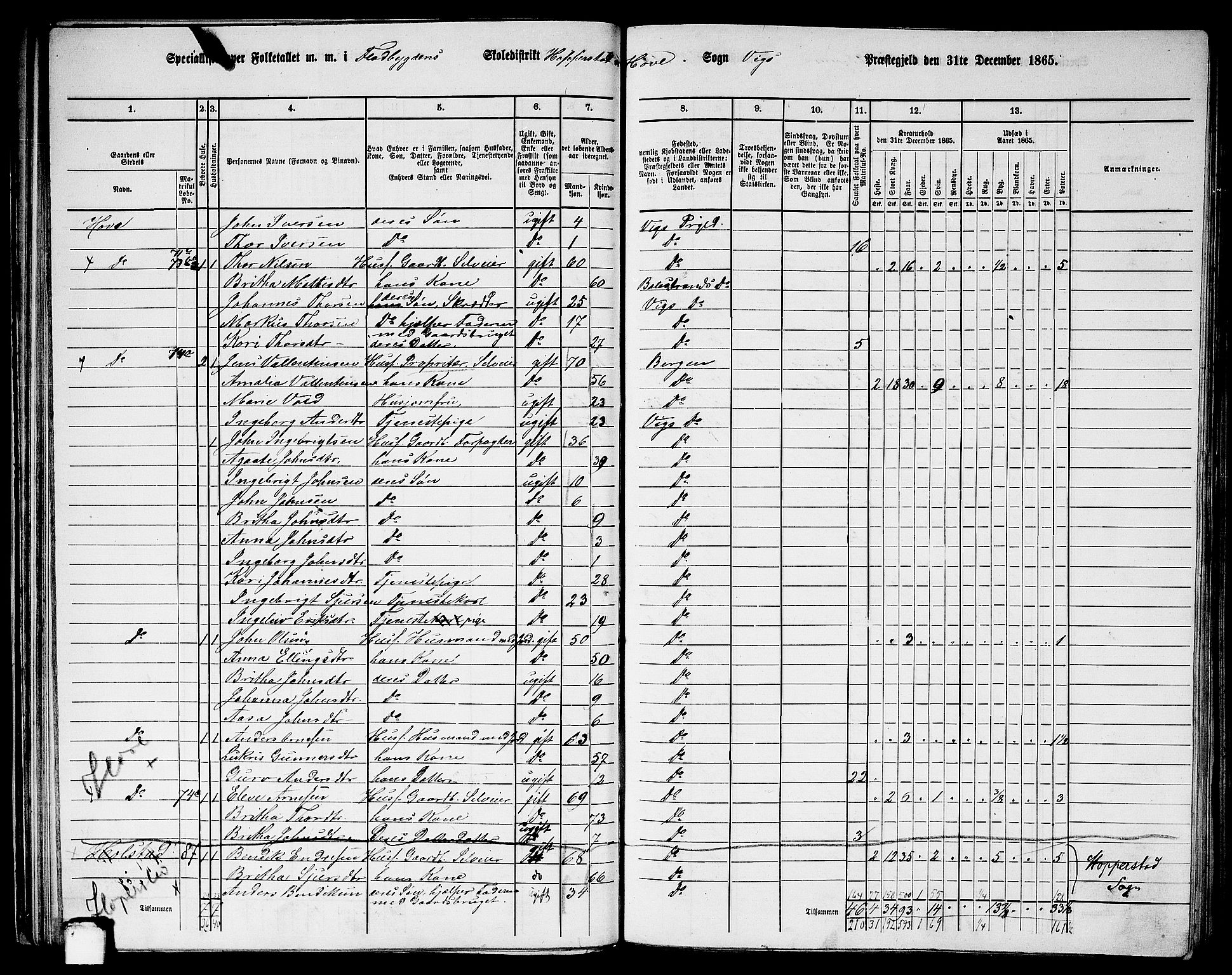 RA, 1865 census for Vik, 1865, p. 50