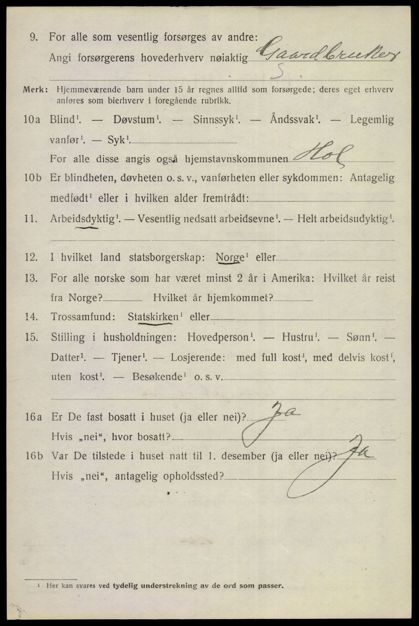 SAKO, 1920 census for Hol (Buskerud), 1920, p. 3782