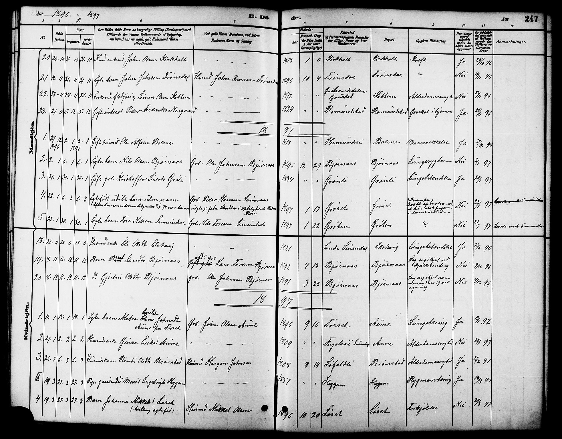 Ministerialprotokoller, klokkerbøker og fødselsregistre - Møre og Romsdal, SAT/A-1454/598/L1078: Parish register (copy) no. 598C03, 1892-1909, p. 247