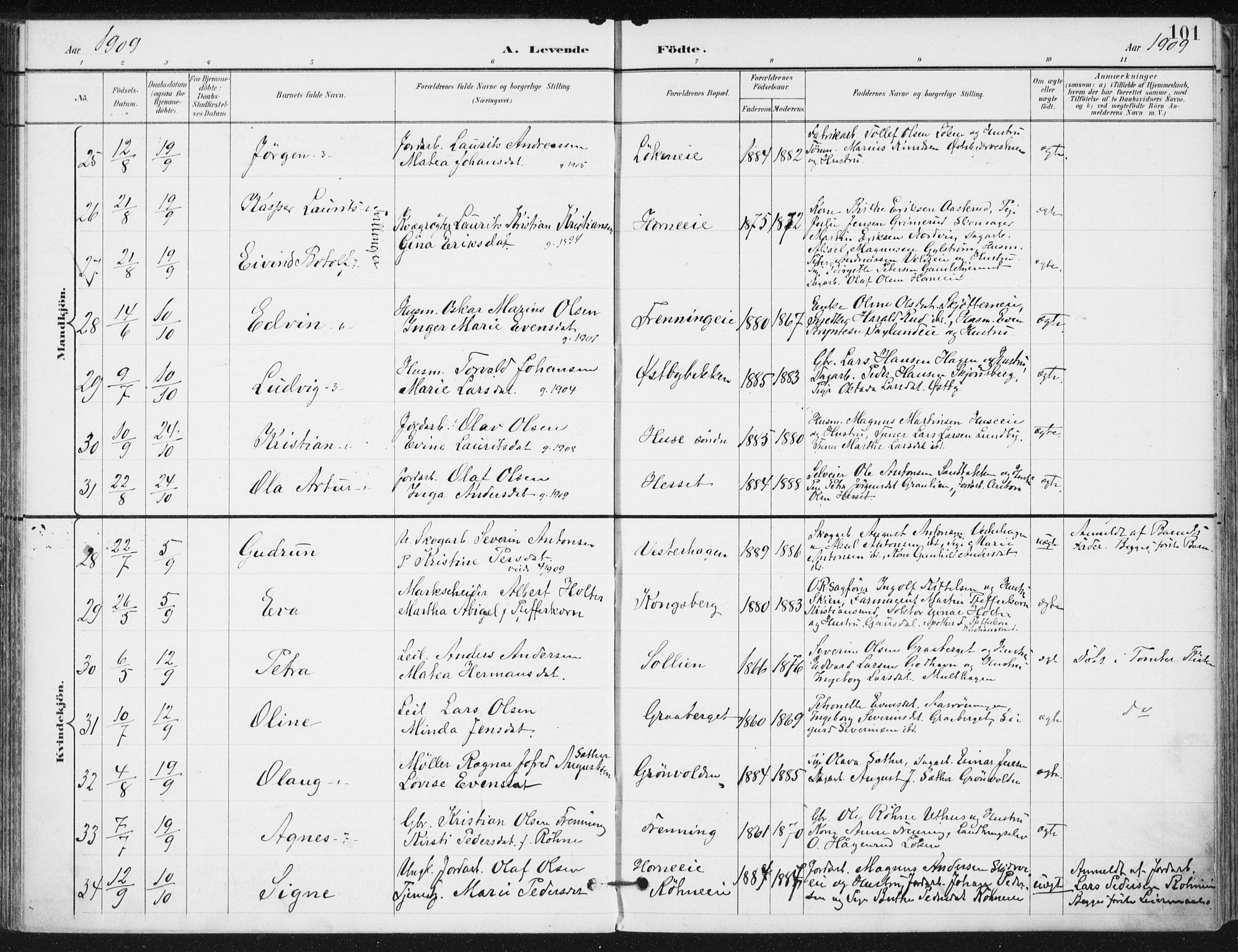 Romedal prestekontor, AV/SAH-PREST-004/K/L0011: Parish register (official) no. 11, 1896-1912, p. 101