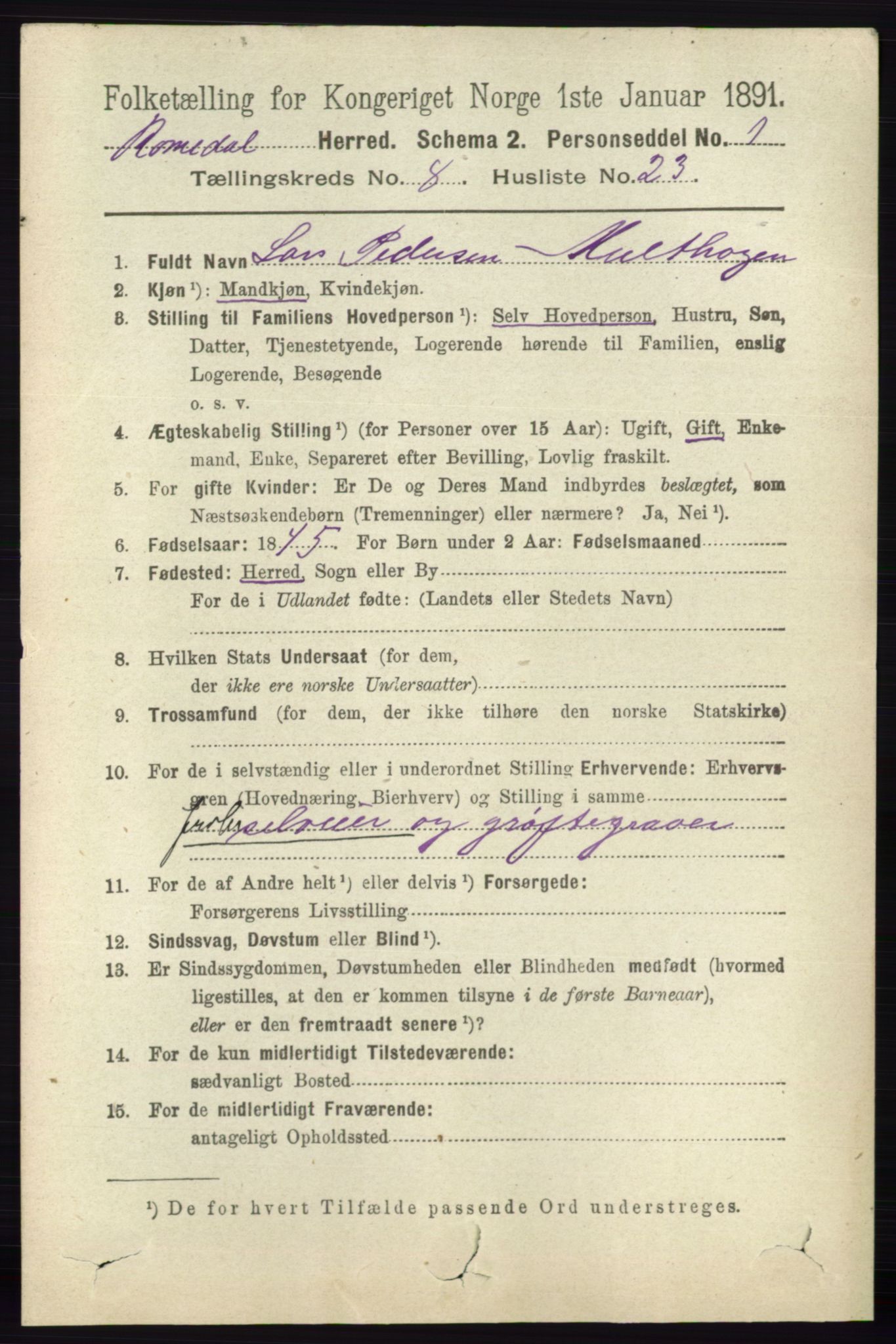 RA, 1891 census for 0416 Romedal, 1891, p. 4099