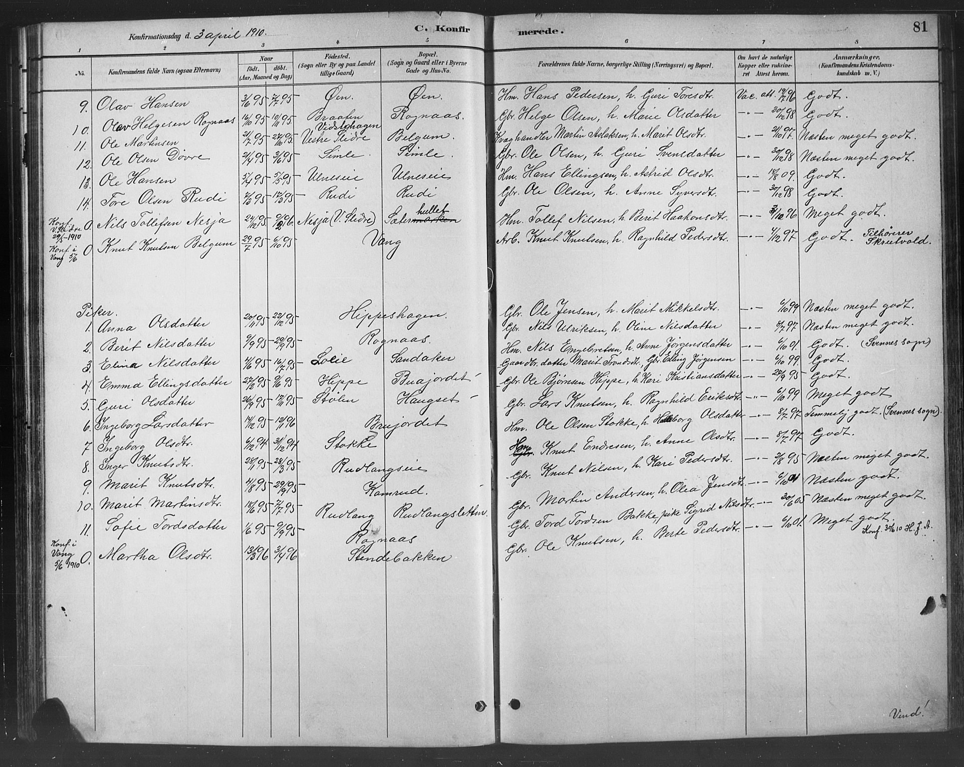 Nord-Aurdal prestekontor, SAH/PREST-132/H/Ha/Hab/L0008: Parish register (copy) no. 8, 1883-1916, p. 81