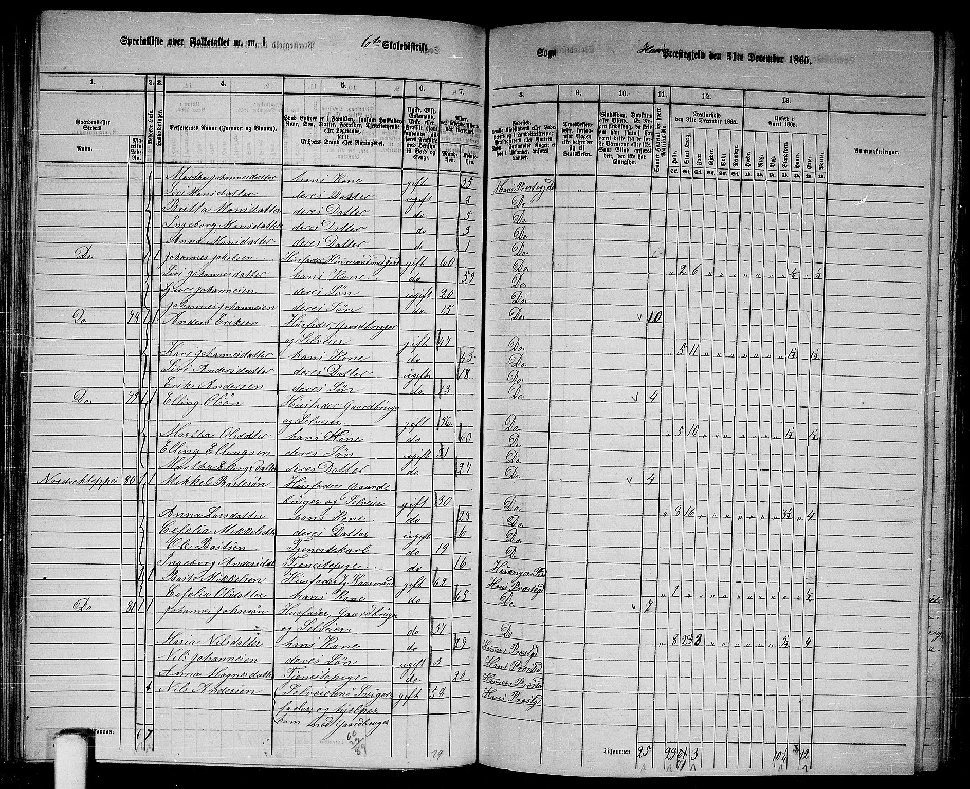 RA, 1865 census for Haus, 1865, p. 116