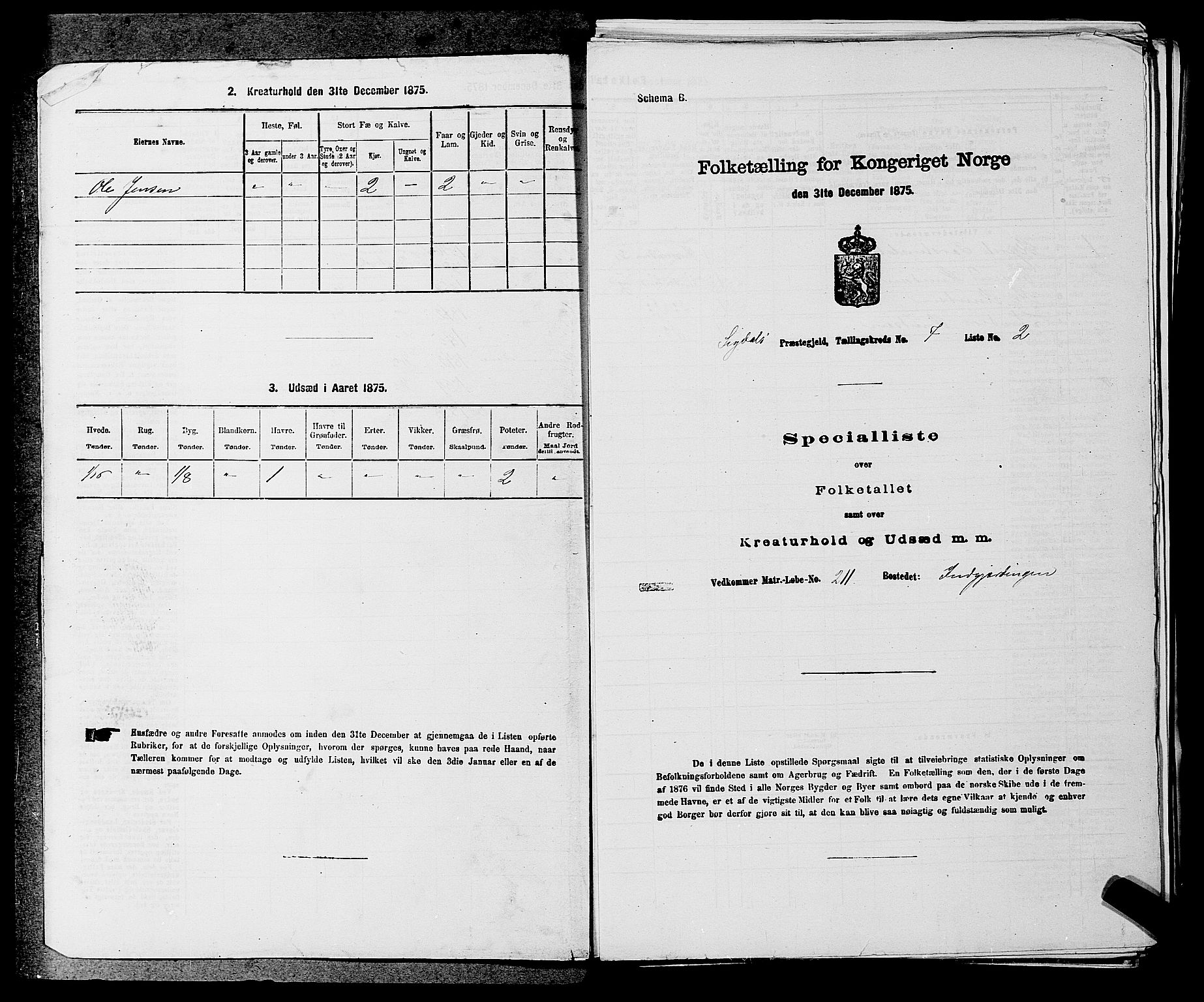 SAKO, 1875 census for 0621P Sigdal, 1875, p. 995