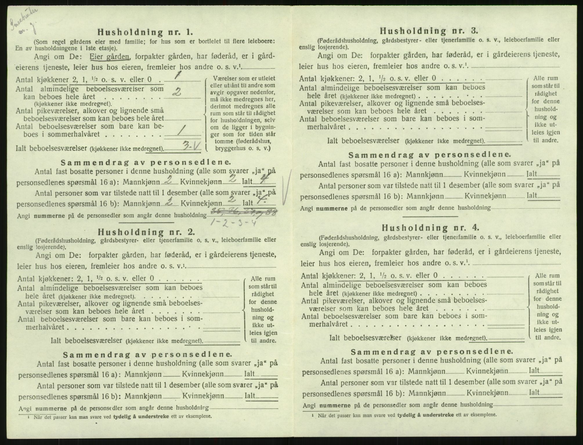 SAK, 1920 census for Hornnes, 1920, p. 218