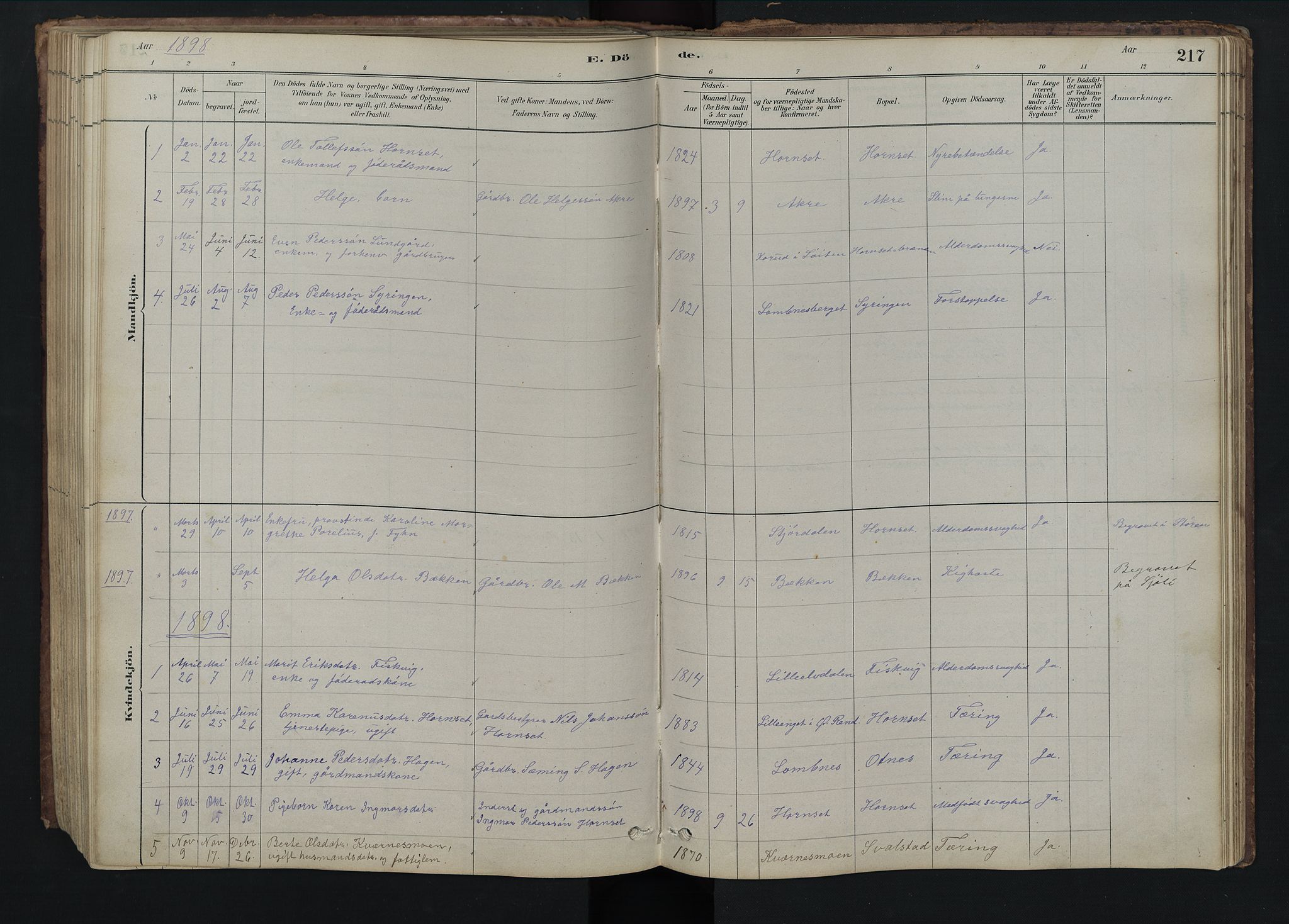 Rendalen prestekontor, AV/SAH-PREST-054/H/Ha/Hab/L0009: Parish register (copy) no. 9, 1879-1902, p. 217