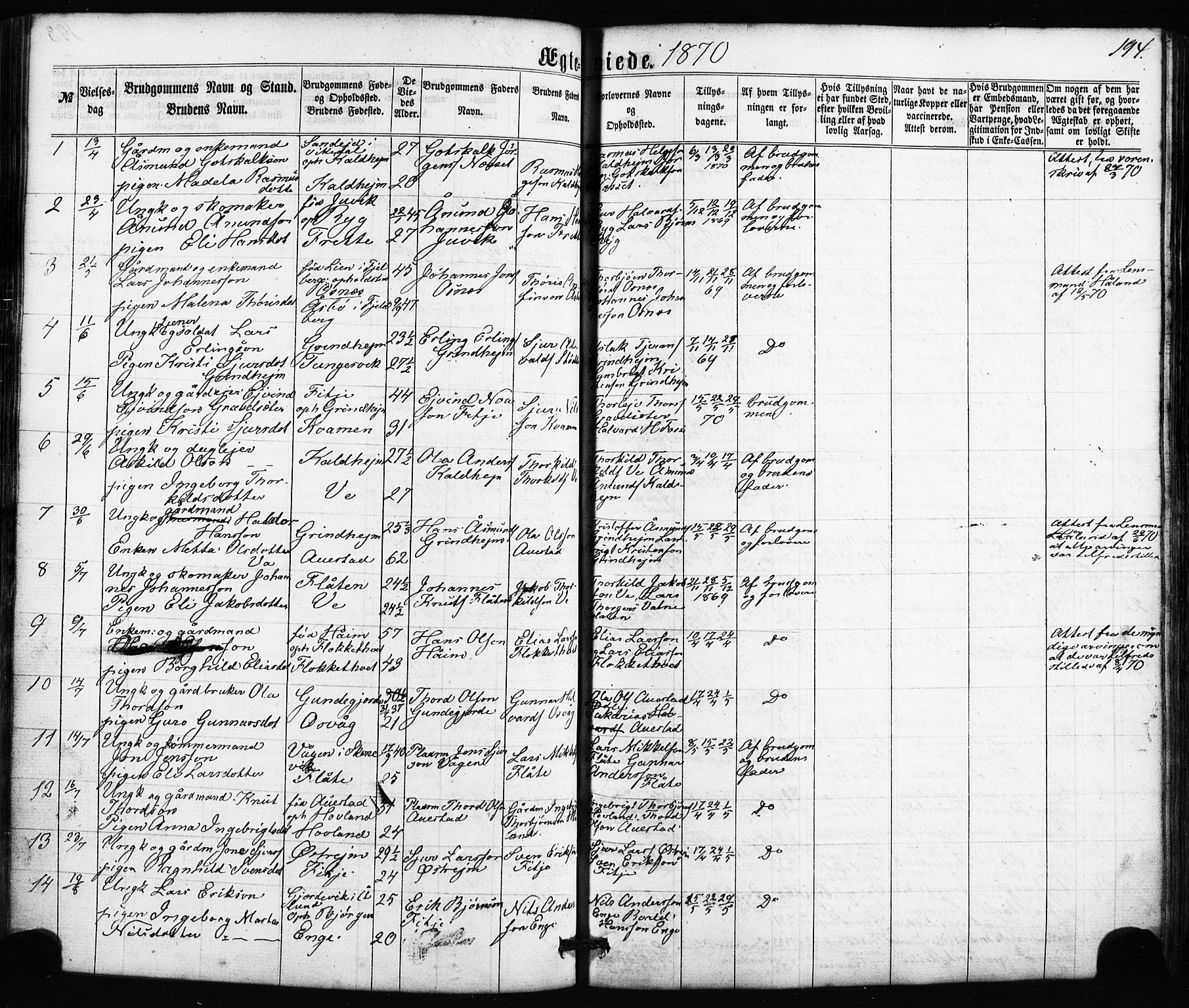 Etne sokneprestembete, SAB/A-75001/H/Haa: Parish register (official) no. A 9, 1862-1878, p. 194