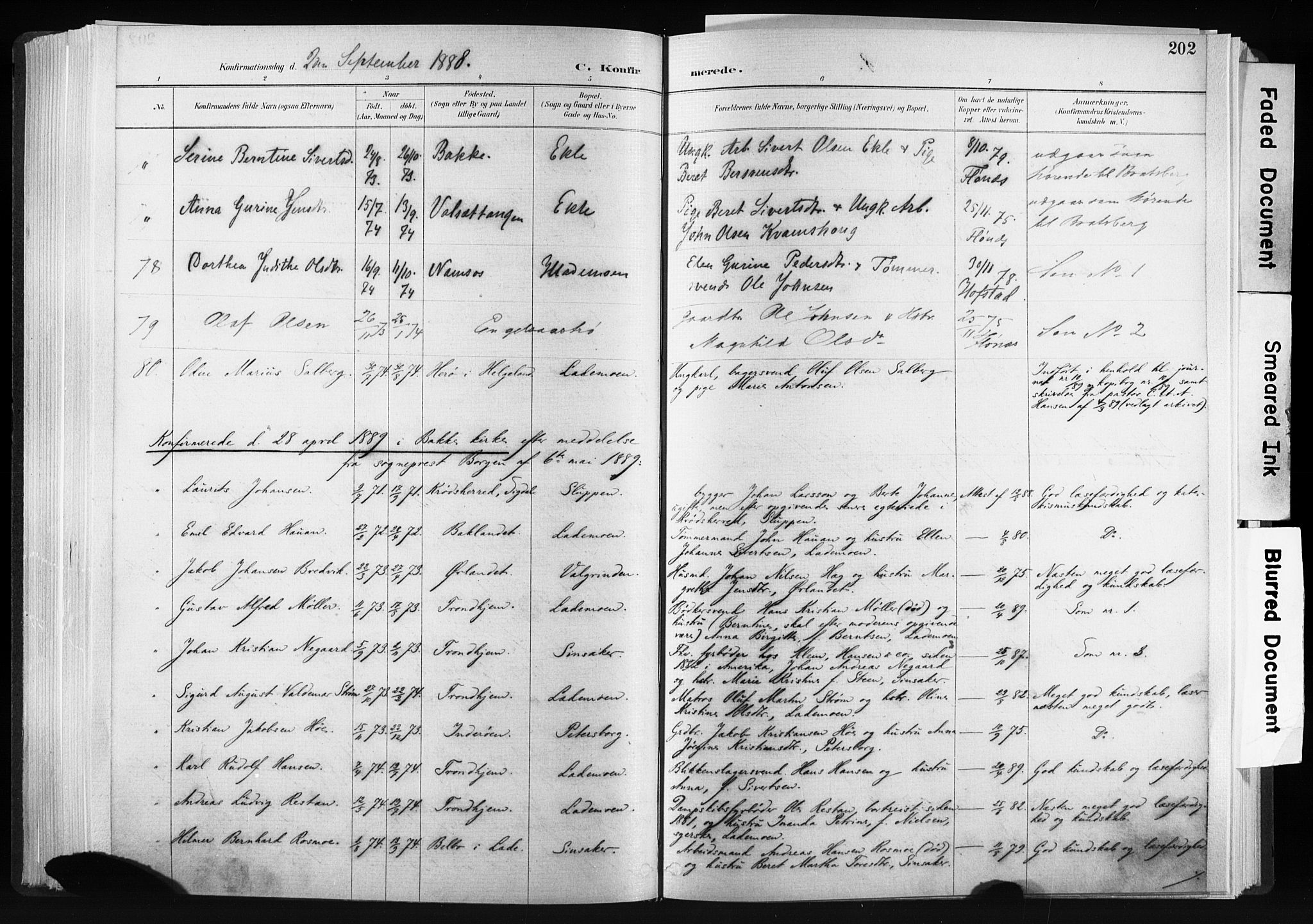 Ministerialprotokoller, klokkerbøker og fødselsregistre - Sør-Trøndelag, SAT/A-1456/606/L0300: Parish register (official) no. 606A15, 1886-1893, p. 202