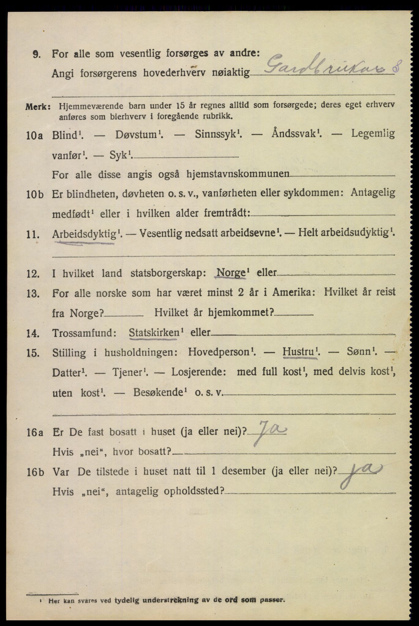 SAK, 1920 census for Hornnes, 1920, p. 3052