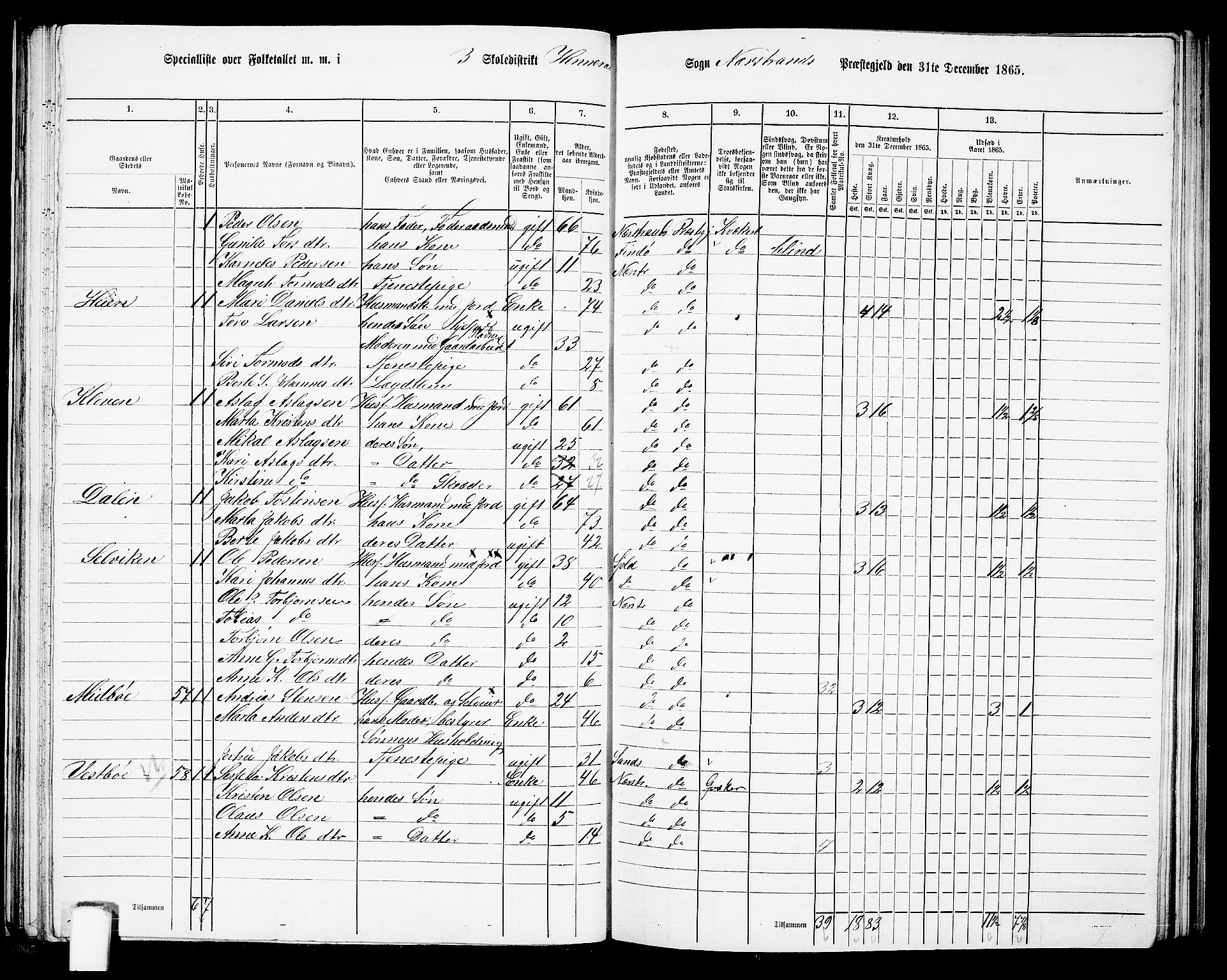 RA, 1865 census for Nedstrand, 1865, p. 48