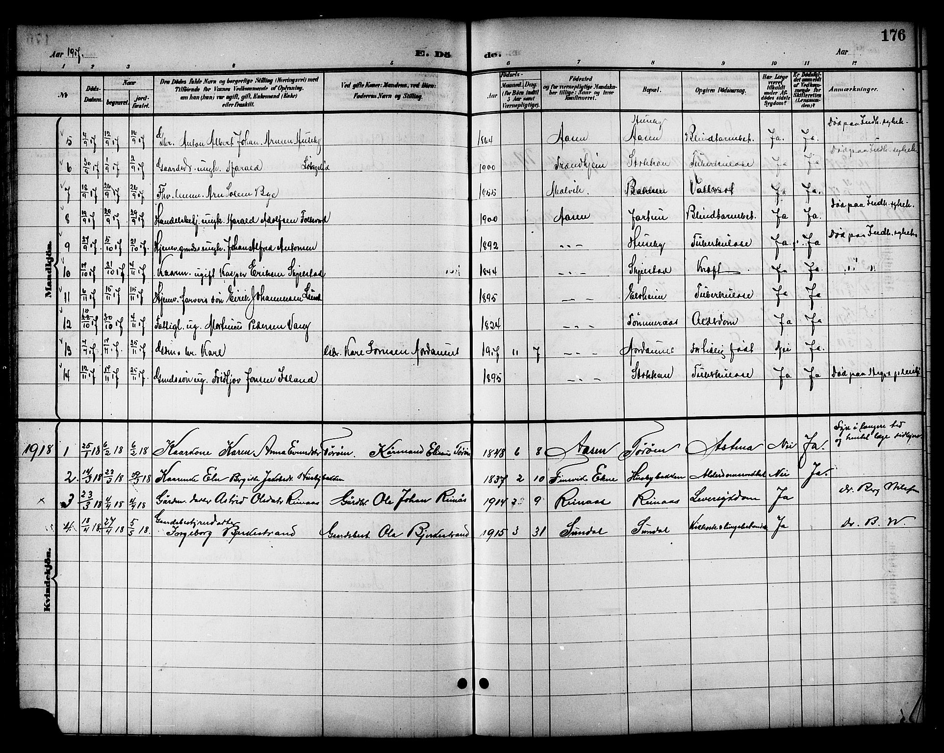Ministerialprotokoller, klokkerbøker og fødselsregistre - Nord-Trøndelag, SAT/A-1458/714/L0135: Parish register (copy) no. 714C04, 1899-1918, p. 176