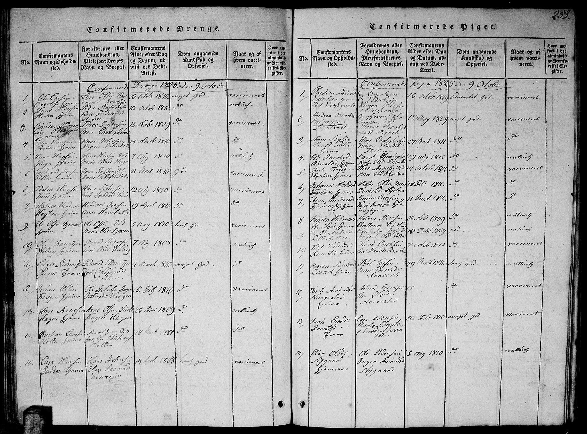 Fet prestekontor Kirkebøker, AV/SAO-A-10370a/G/Ga/L0001: Parish register (copy) no. I 1, 1815-1842, p. 253