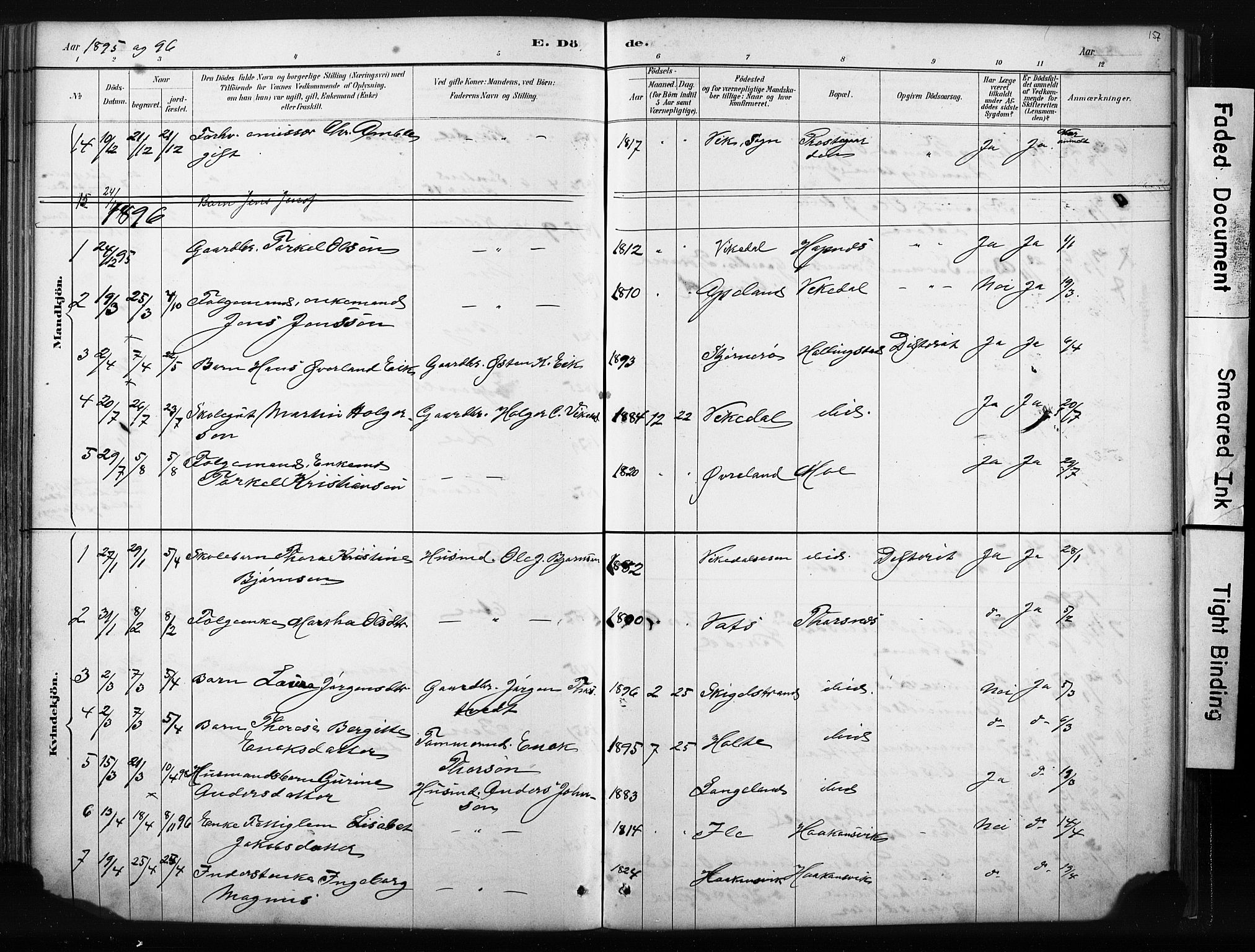 Vikedal sokneprestkontor, SAST/A-101840/01/IV: Parish register (official) no. A 10, 1884-1907, p. 157