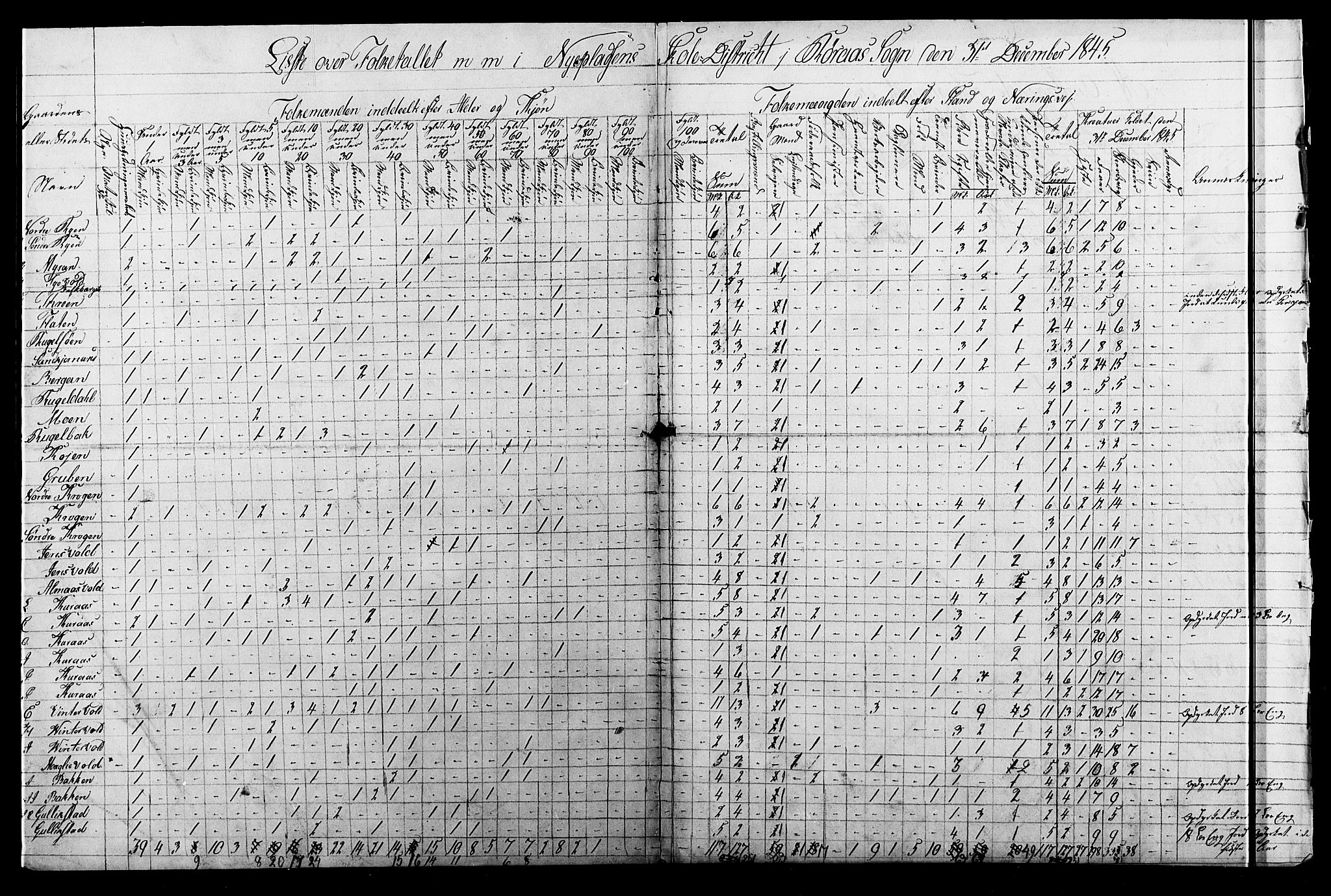 , Census 1845 for Røros/Røros, 1845, p. 17