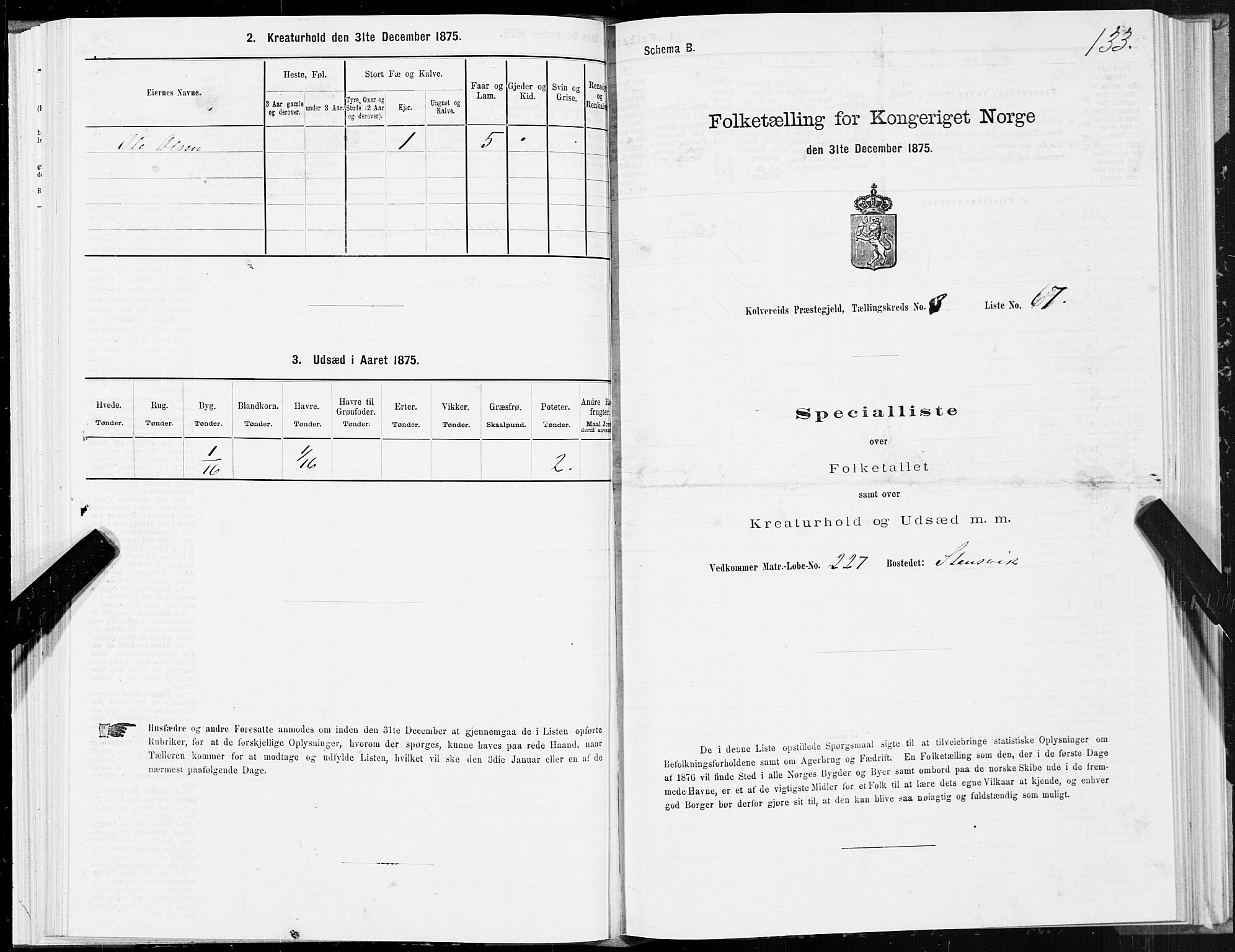 SAT, 1875 census for 1752P Kolvereid, 1875, p. 2133