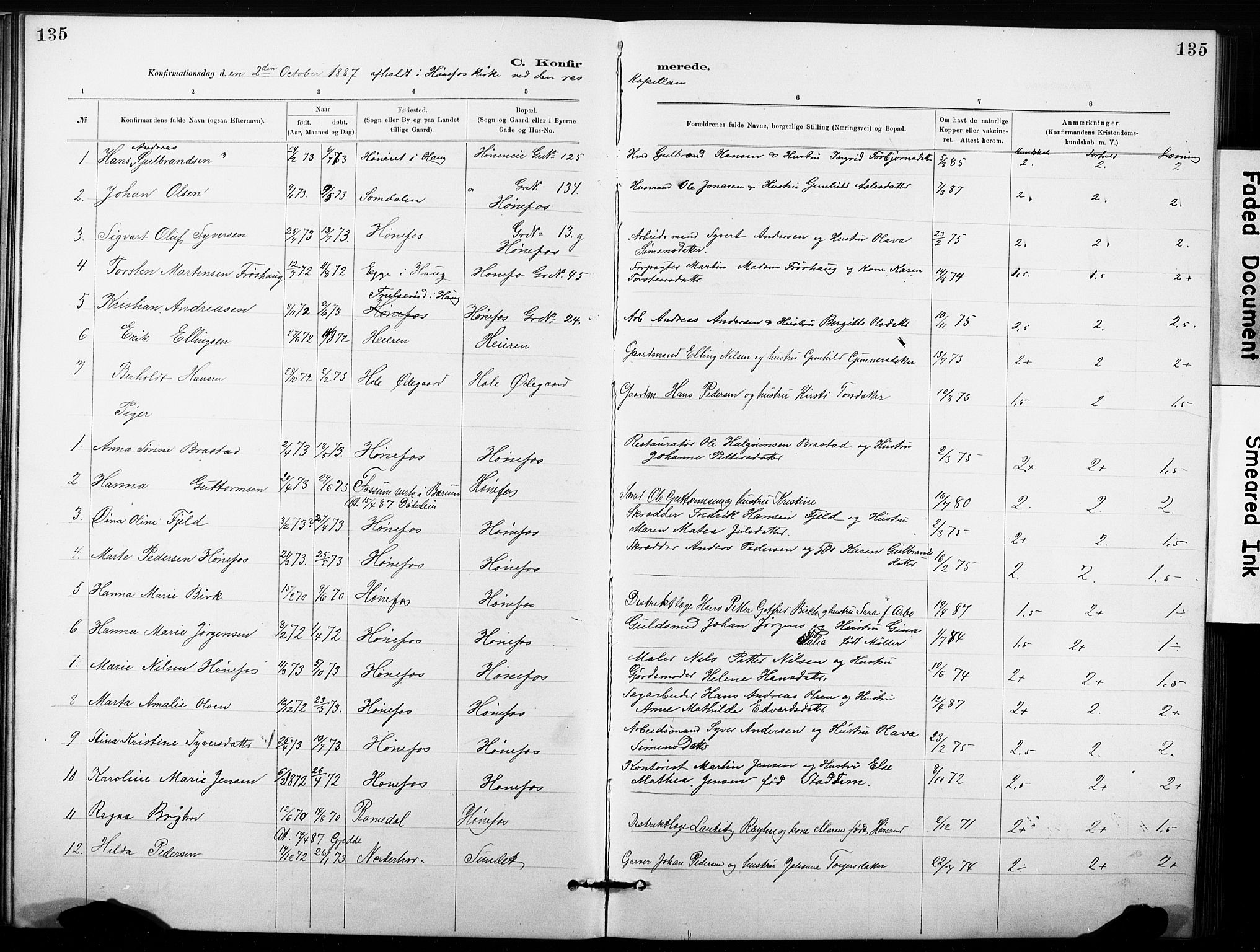 Hønefoss kirkebøker, AV/SAKO-A-609/G/Ga/L0001: Parish register (copy) no. 1, 1870-1887, p. 135