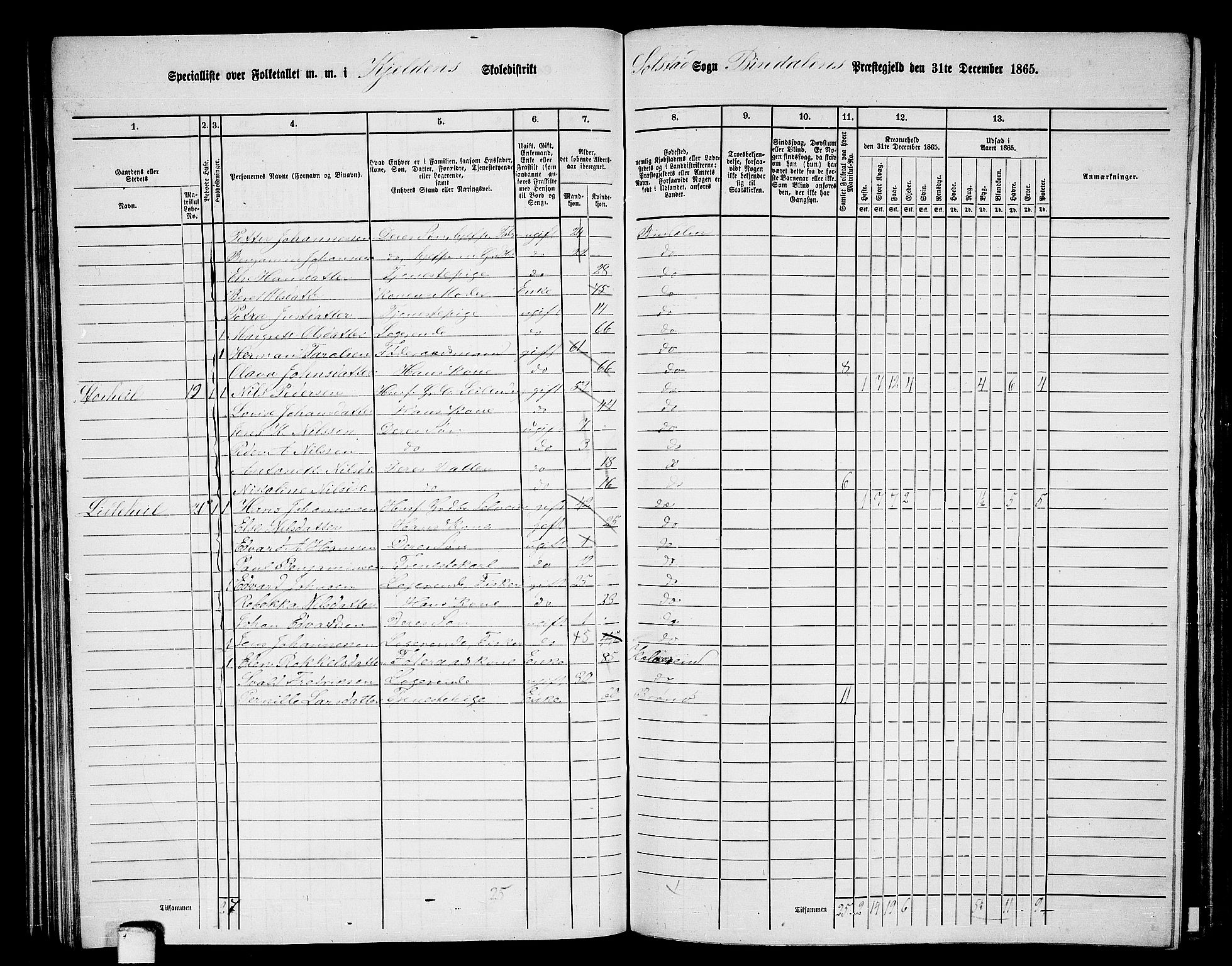 RA, 1865 census for Bindal, 1865, p. 65