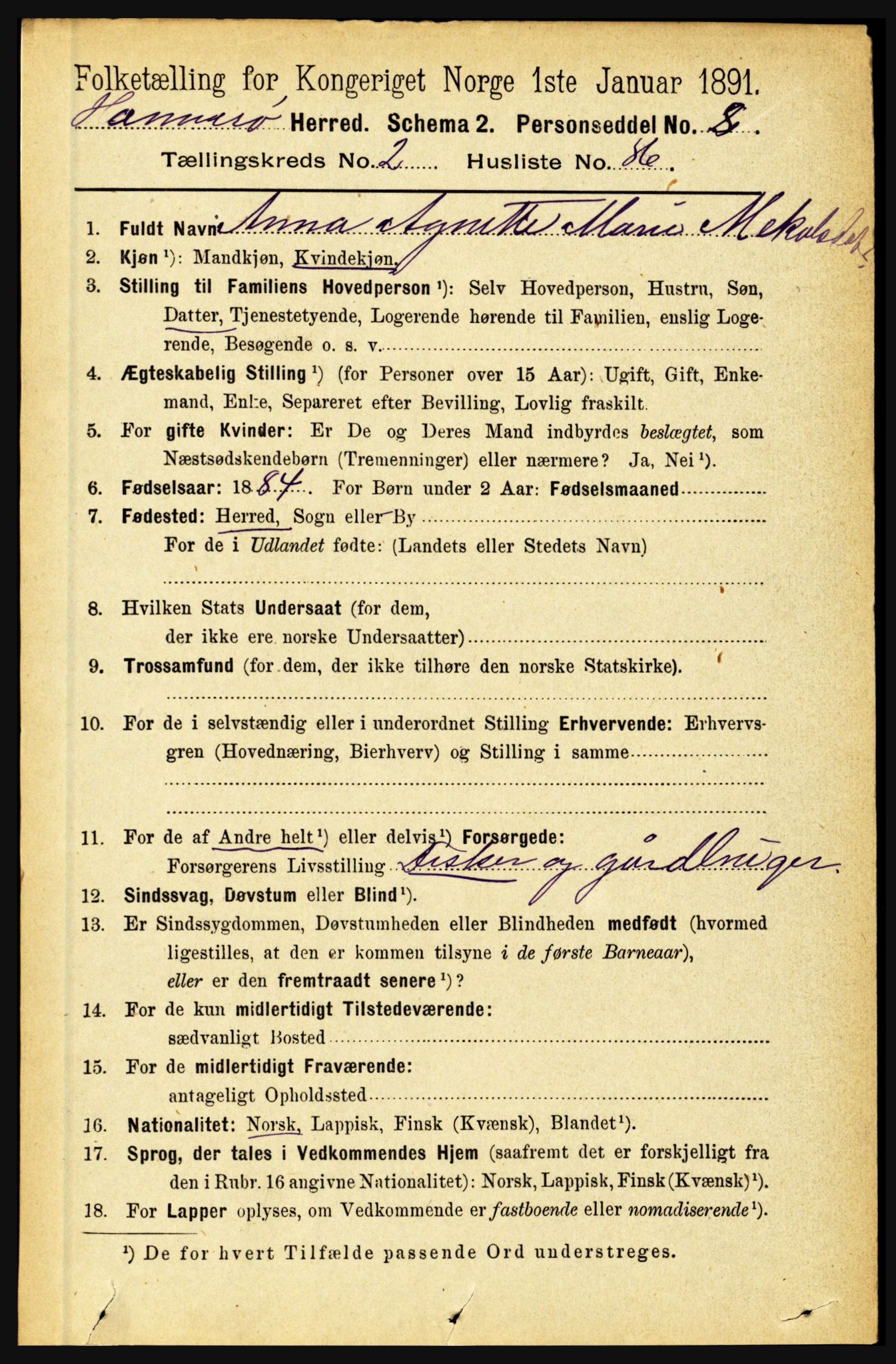 RA, 1891 census for 1849 Hamarøy, 1891, p. 1137