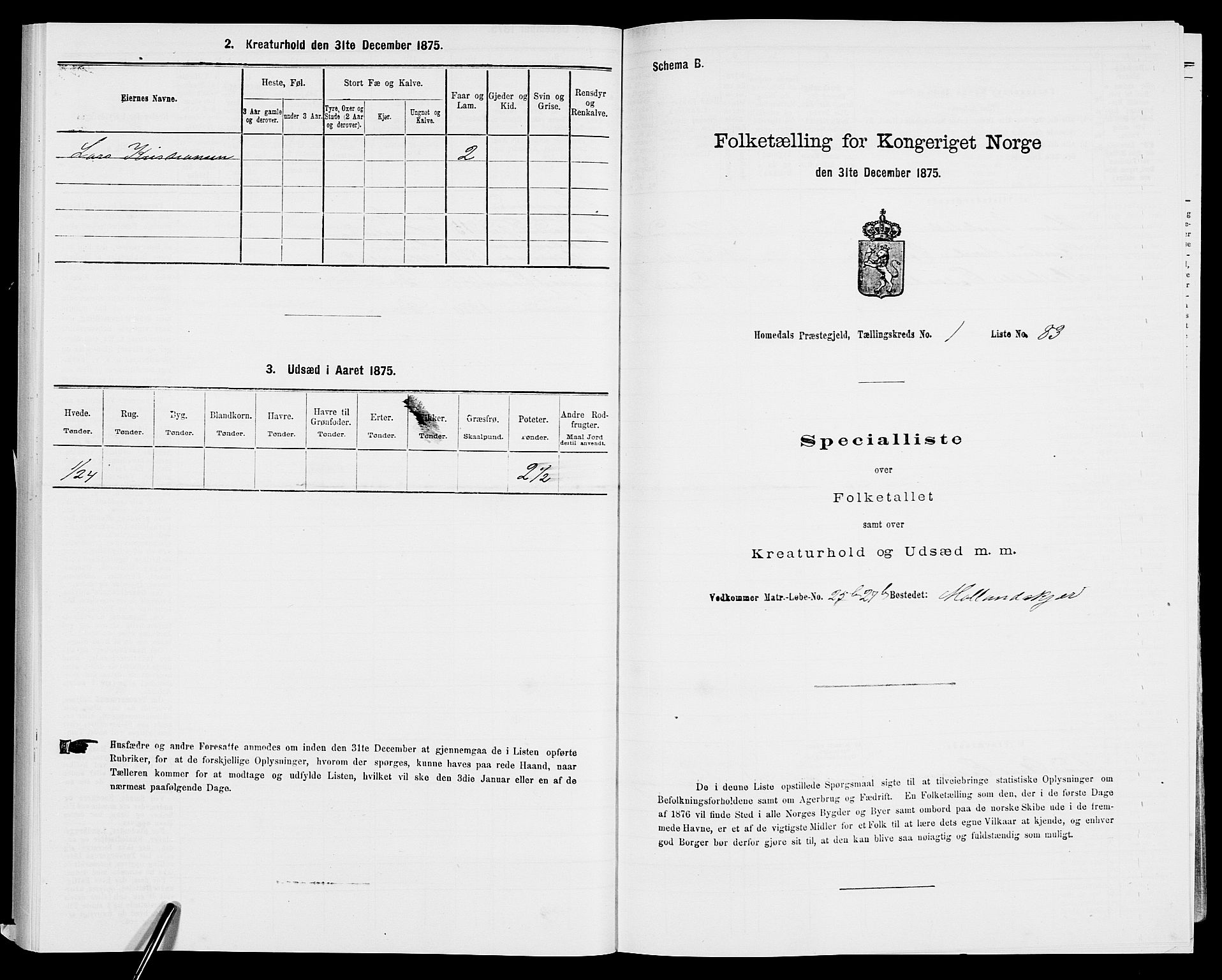 SAK, 1875 census for 0924P Homedal, 1875, p. 521