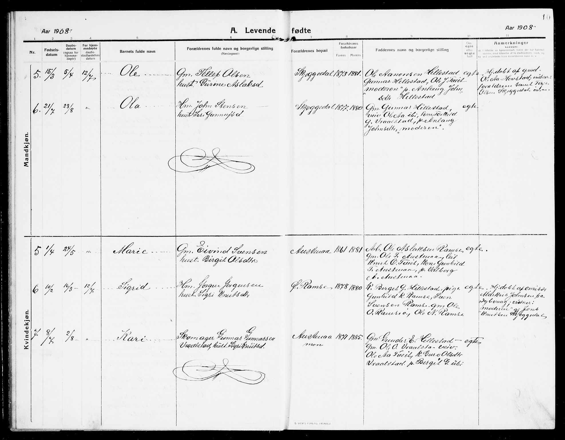 Åmli sokneprestkontor, SAK/1111-0050/F/Fb/Fbb/L0003: Parish register (copy) no. B 3, 1906-1941, p. 10