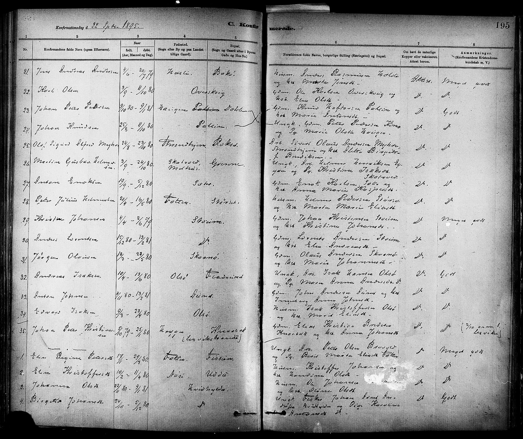 Ministerialprotokoller, klokkerbøker og fødselsregistre - Sør-Trøndelag, SAT/A-1456/647/L0634: Parish register (official) no. 647A01, 1885-1896, p. 195
