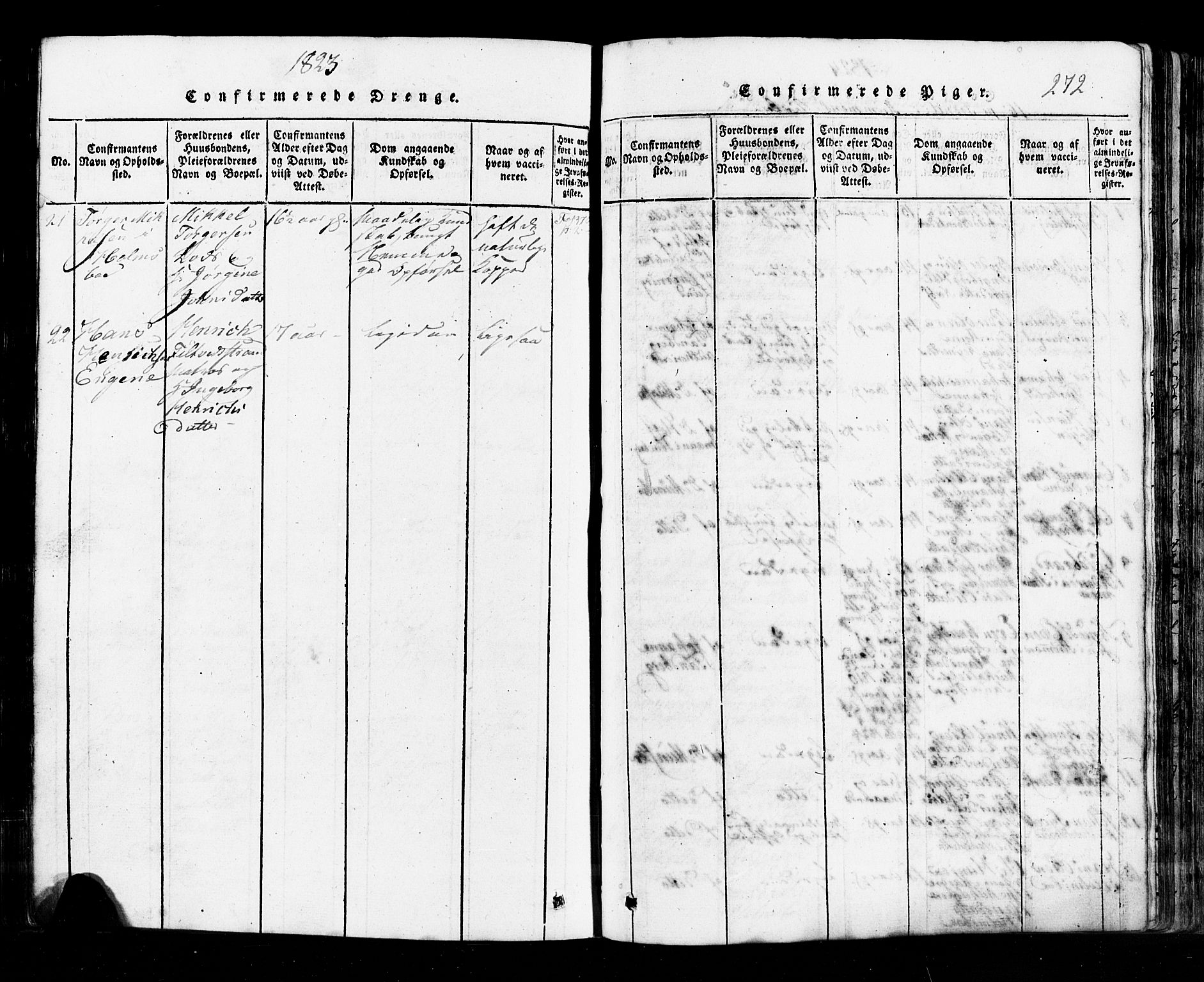 Hurum kirkebøker, AV/SAKO-A-229/G/Ga/L0001: Parish register (copy) no. I 1, 1816-1826, p. 272