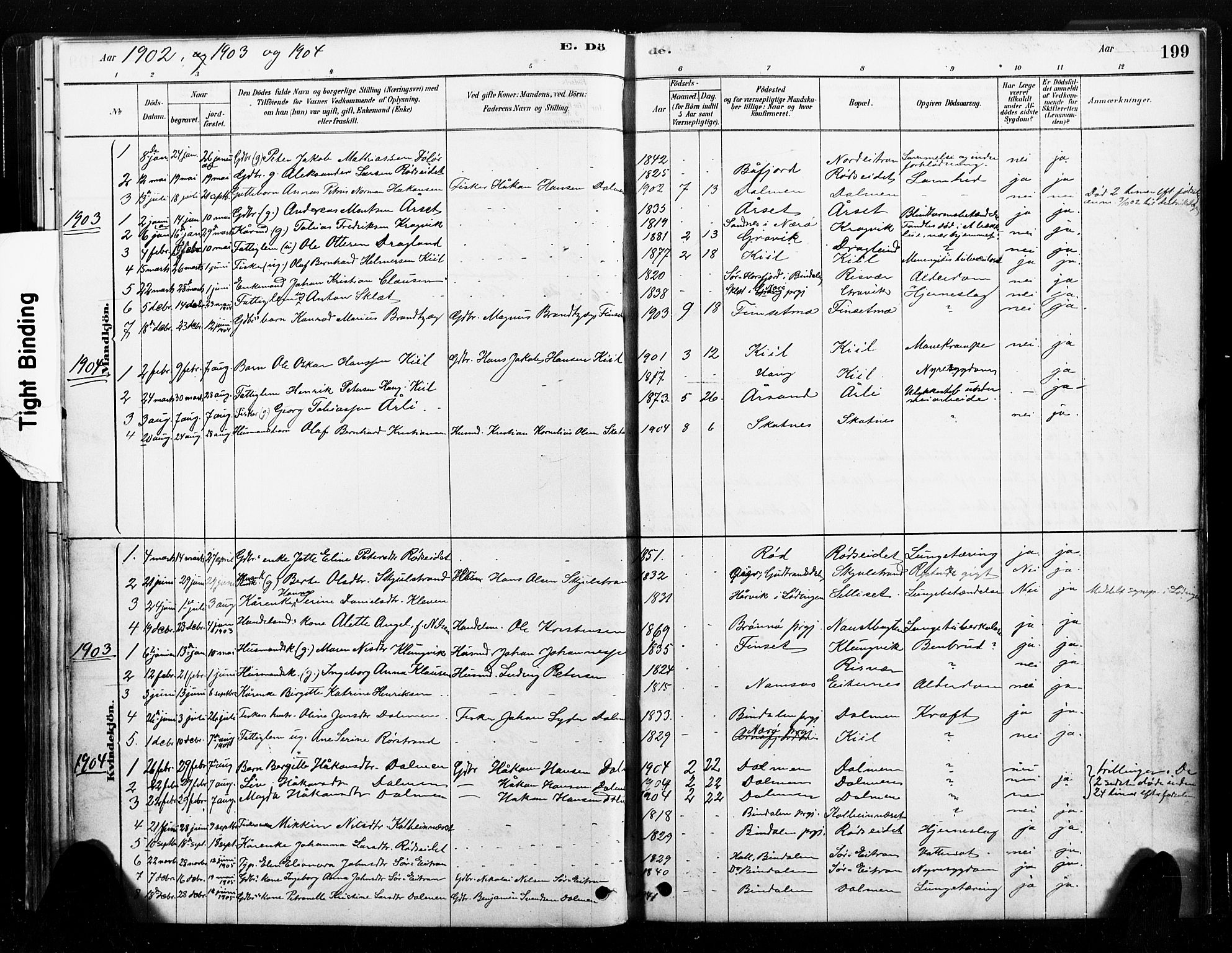 Ministerialprotokoller, klokkerbøker og fødselsregistre - Nord-Trøndelag, SAT/A-1458/789/L0705: Parish register (official) no. 789A01, 1878-1910, p. 199