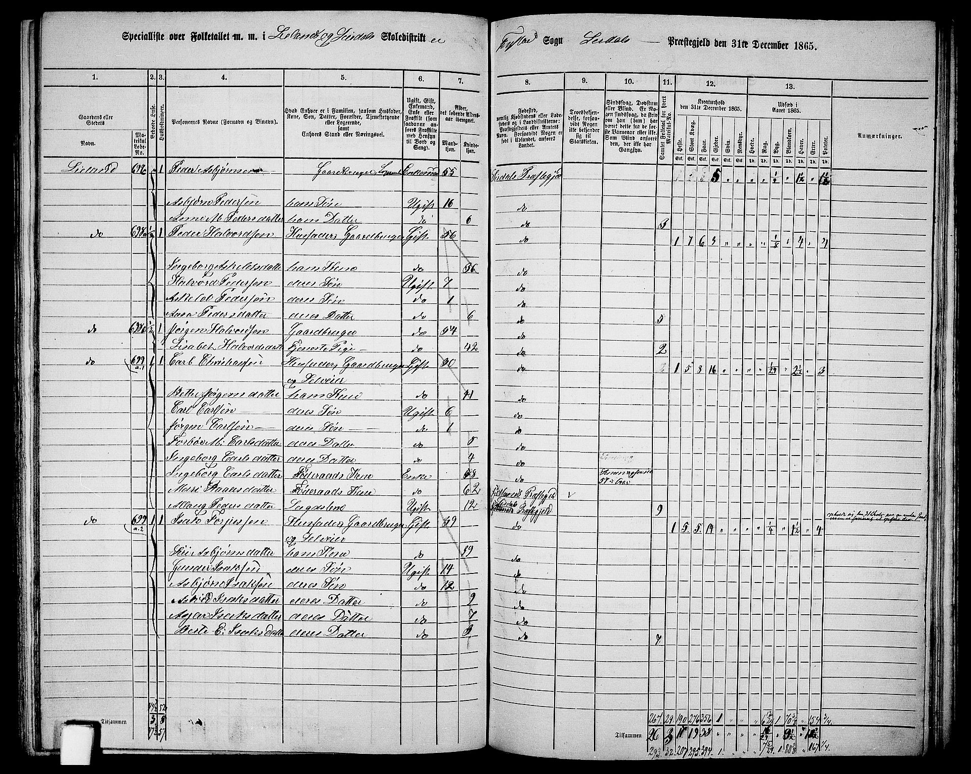RA, 1865 census for Sirdal, 1865, p. 45