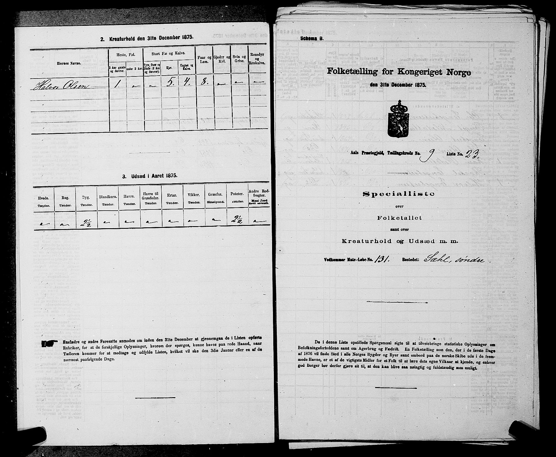 SAKO, 1875 census for 0619P Ål, 1875, p. 1141