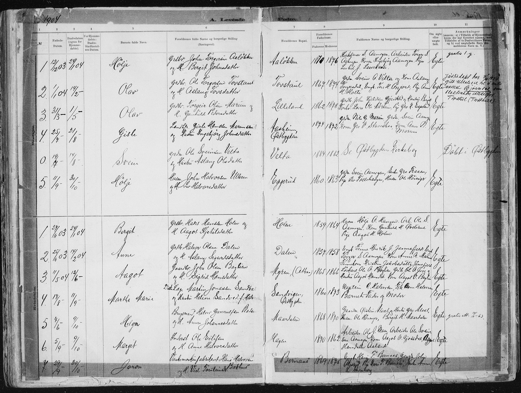Tinn kirkebøker, SAKO/A-308/F/Fa/L0007: Parish register (official) no. I 7, 1878-1922, p. 65
