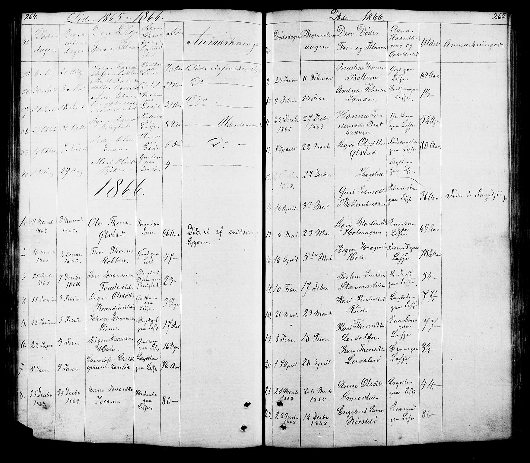 Lesja prestekontor, SAH/PREST-068/H/Ha/Hab/L0005: Parish register (copy) no. 5, 1850-1894, p. 264-265