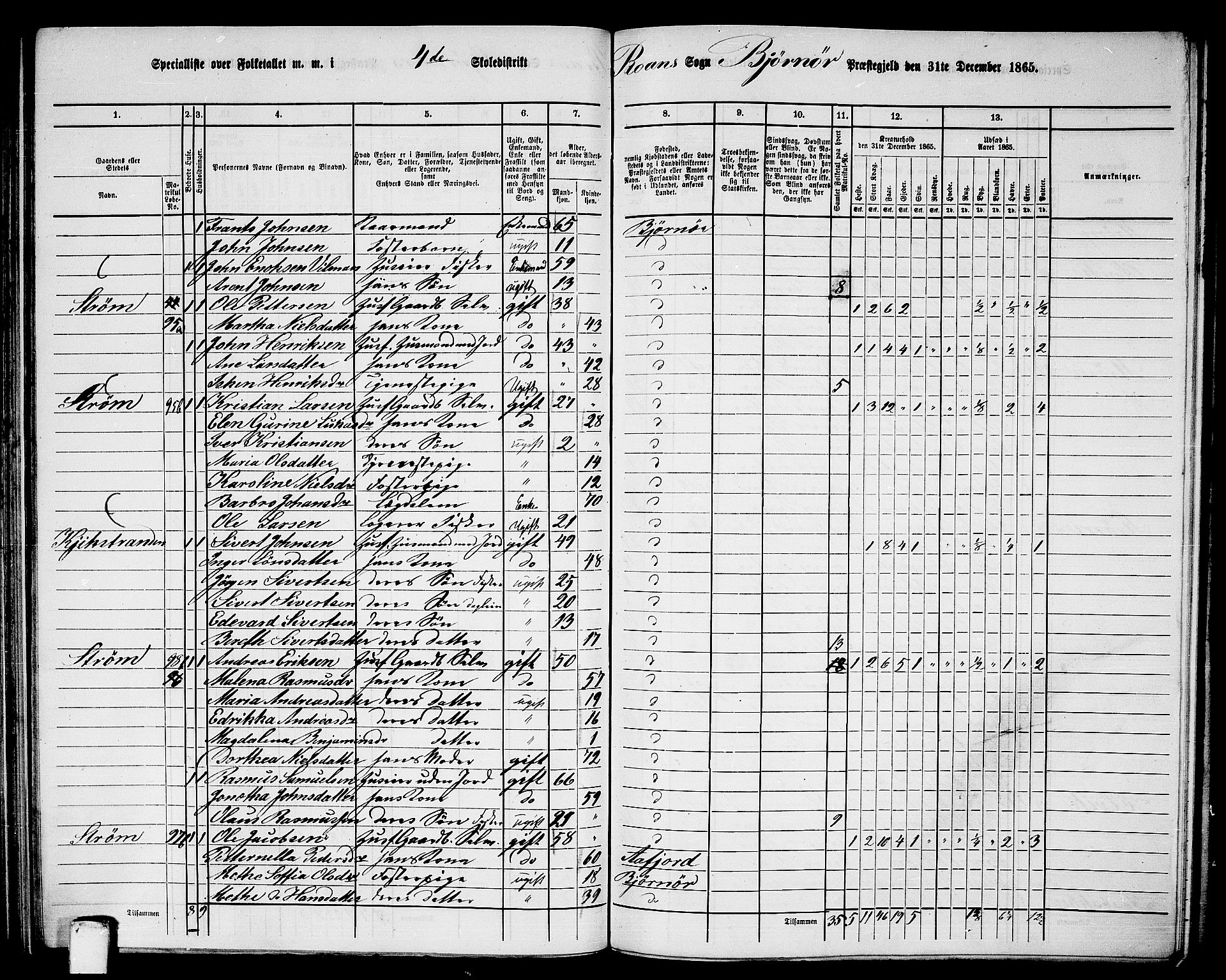 RA, 1865 census for Bjørnør, 1865, p. 80