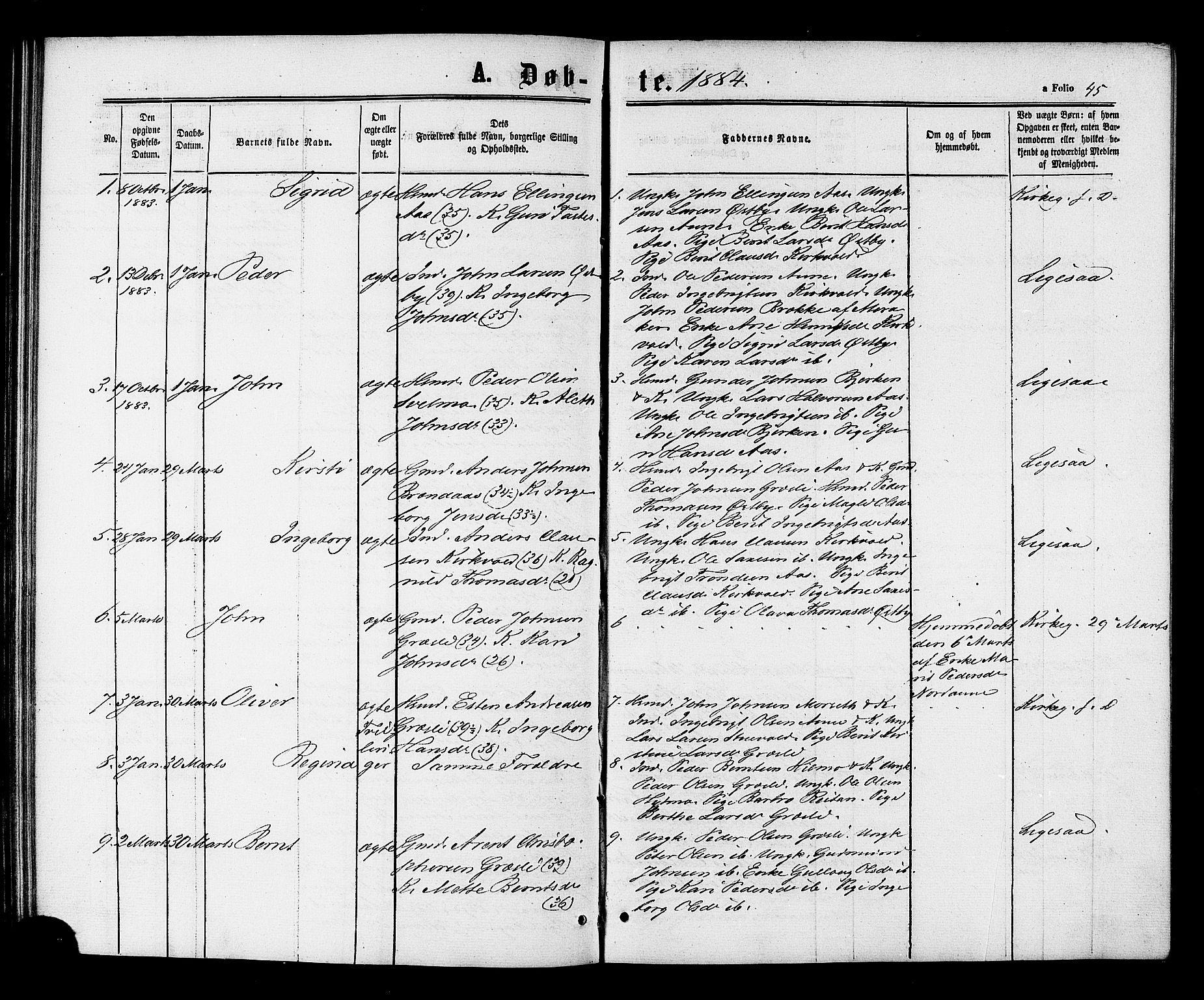 Ministerialprotokoller, klokkerbøker og fødselsregistre - Sør-Trøndelag, SAT/A-1456/698/L1163: Parish register (official) no. 698A01, 1862-1887, p. 45