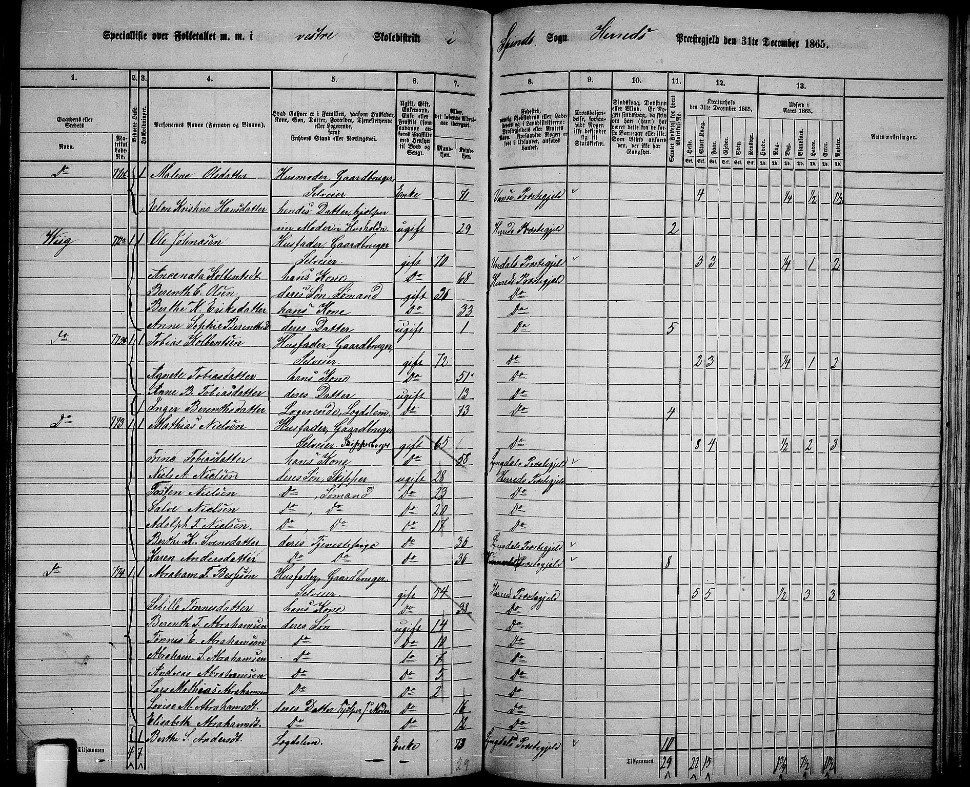 RA, 1865 census for Herad, 1865, p. 54