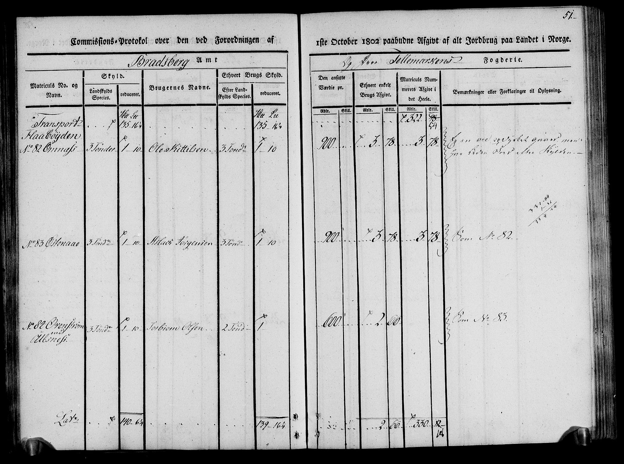 Rentekammeret inntil 1814, Realistisk ordnet avdeling, AV/RA-EA-4070/N/Ne/Nea/L0075: Øvre Telemarken fogderi. Kommisjonsprotokoll for fogderiets vestre del - Kviteseid, Vinje, Moland [):Fyresdal] og Lårdal prestegjeld., 1803, p. 51