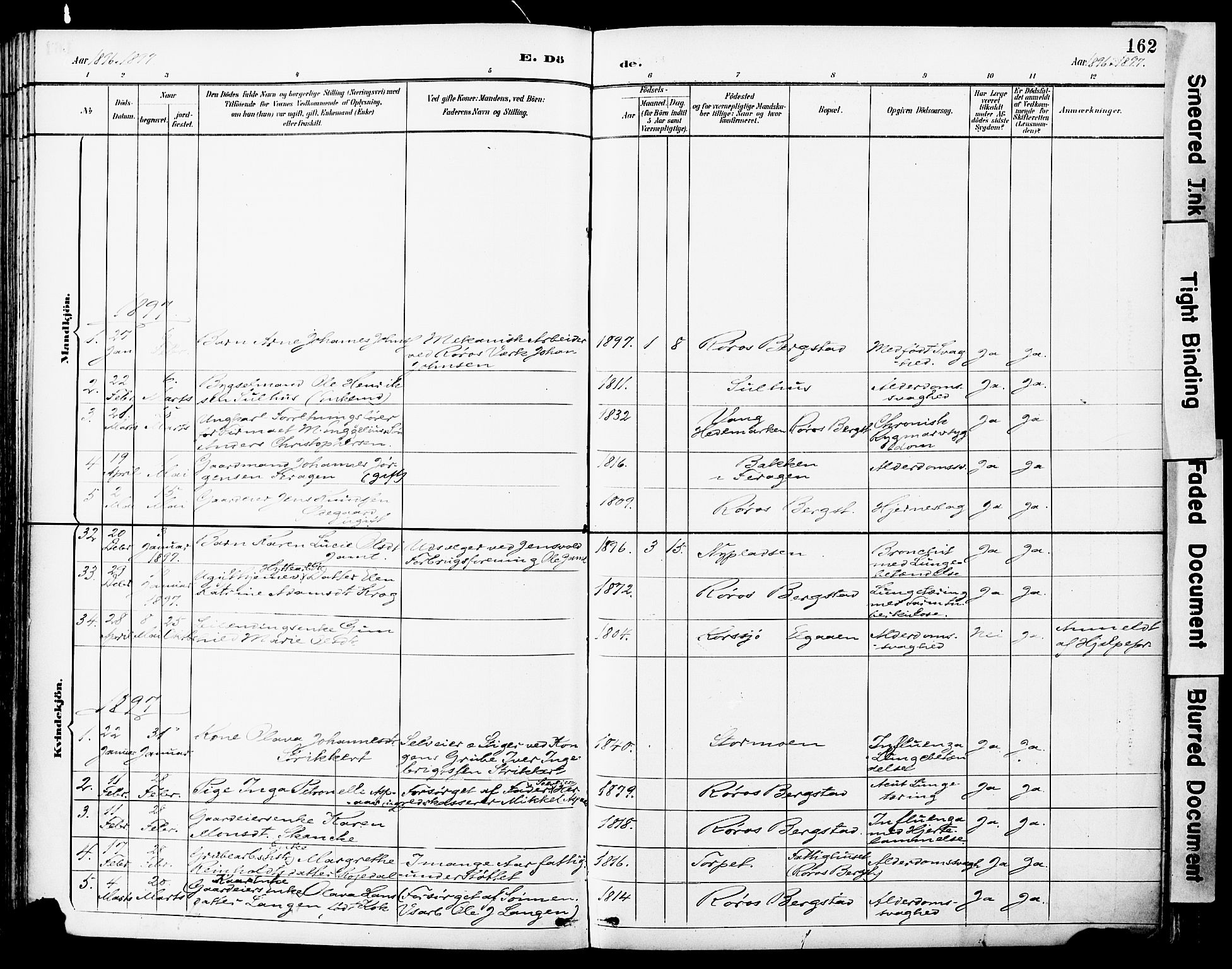 Ministerialprotokoller, klokkerbøker og fødselsregistre - Sør-Trøndelag, SAT/A-1456/681/L0935: Parish register (official) no. 681A13, 1890-1898, p. 162