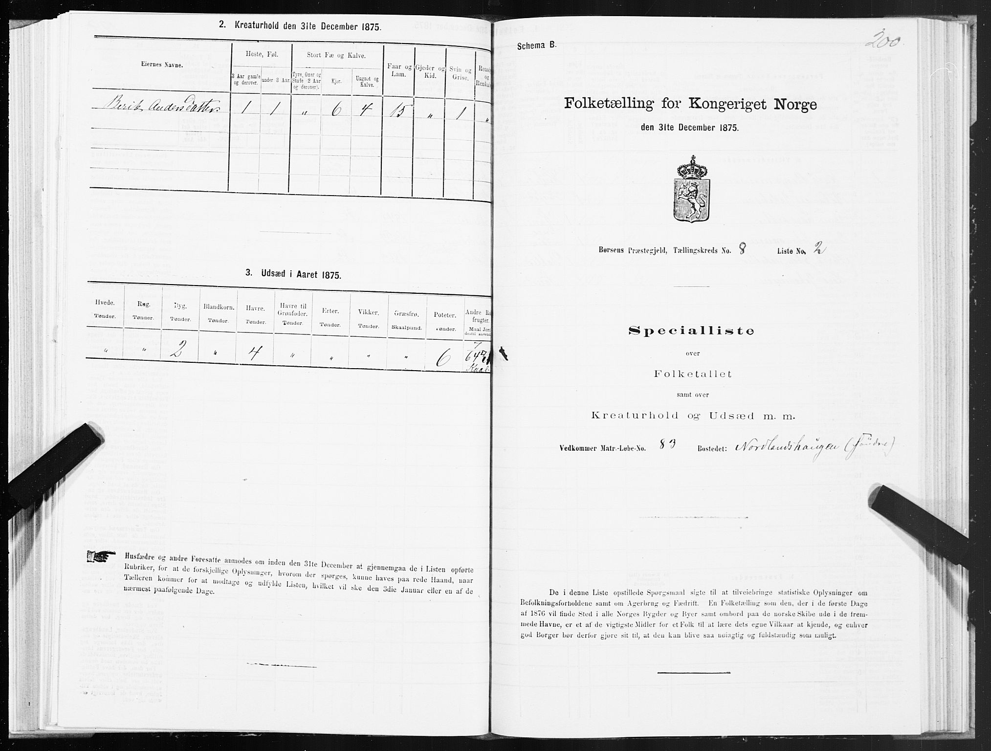 SAT, 1875 census for 1658P Børsa, 1875, p. 5200