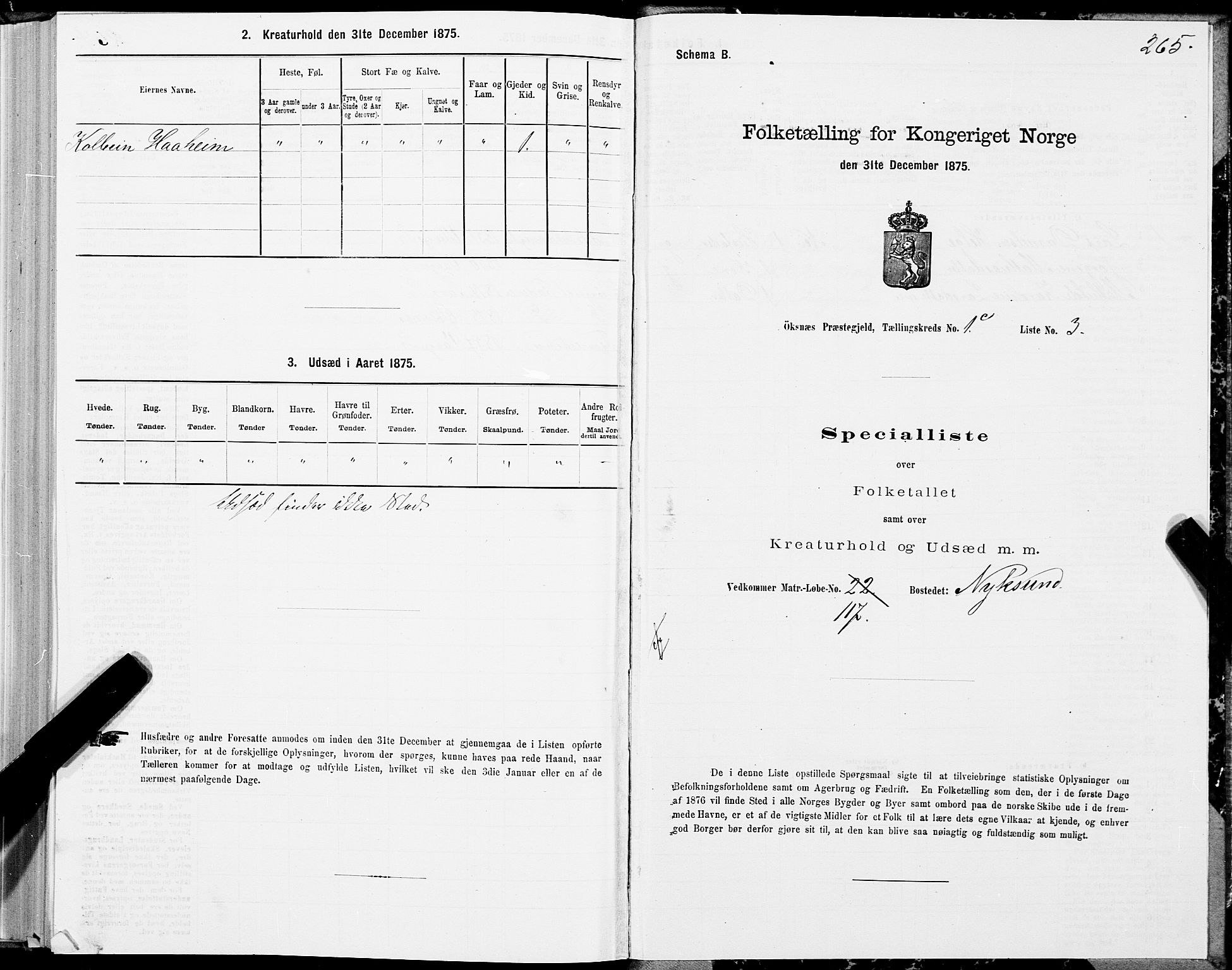 SAT, 1875 census for 1868P Øksnes, 1875, p. 1265