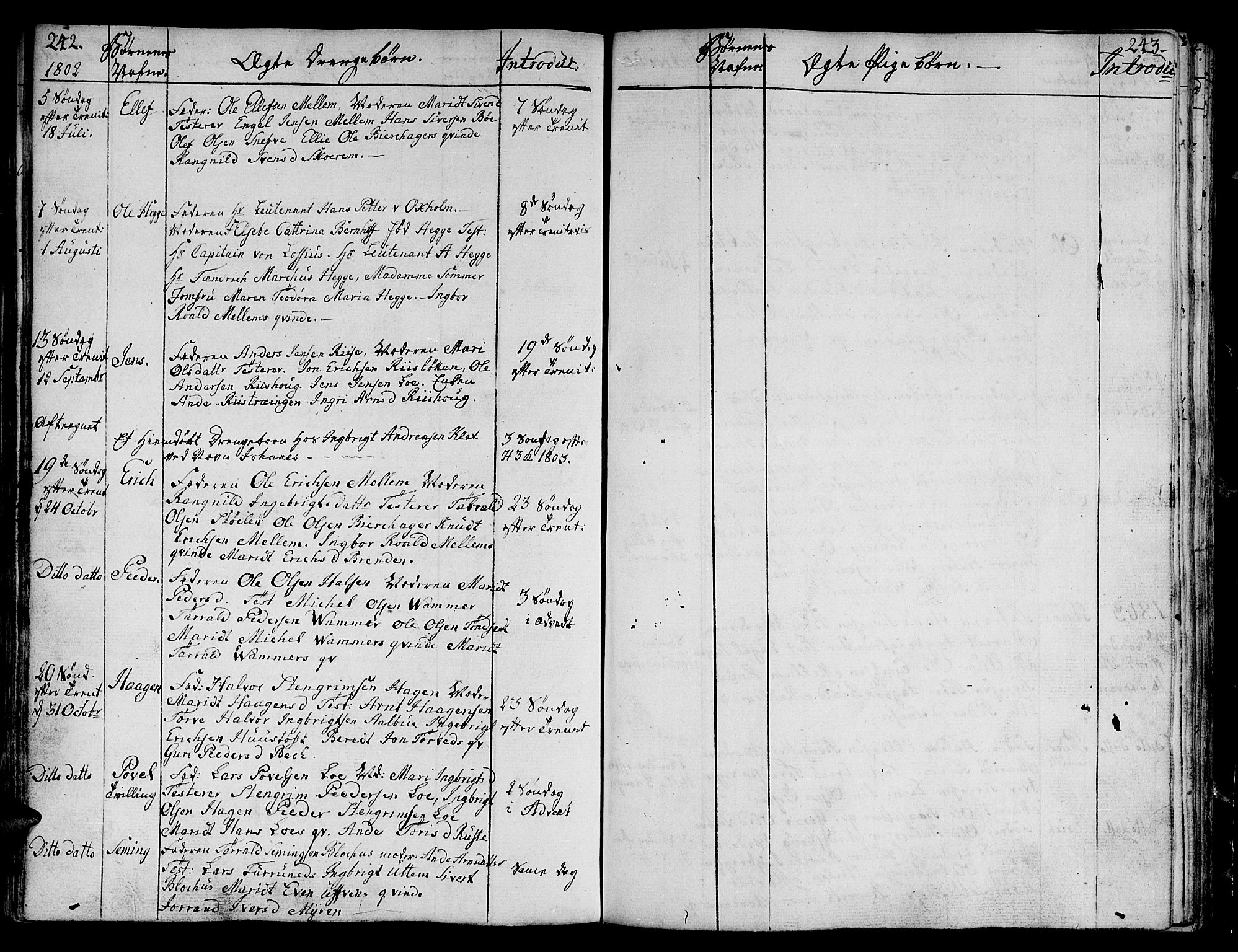 Ministerialprotokoller, klokkerbøker og fødselsregistre - Sør-Trøndelag, SAT/A-1456/678/L0893: Parish register (official) no. 678A03, 1792-1805, p. 242-243