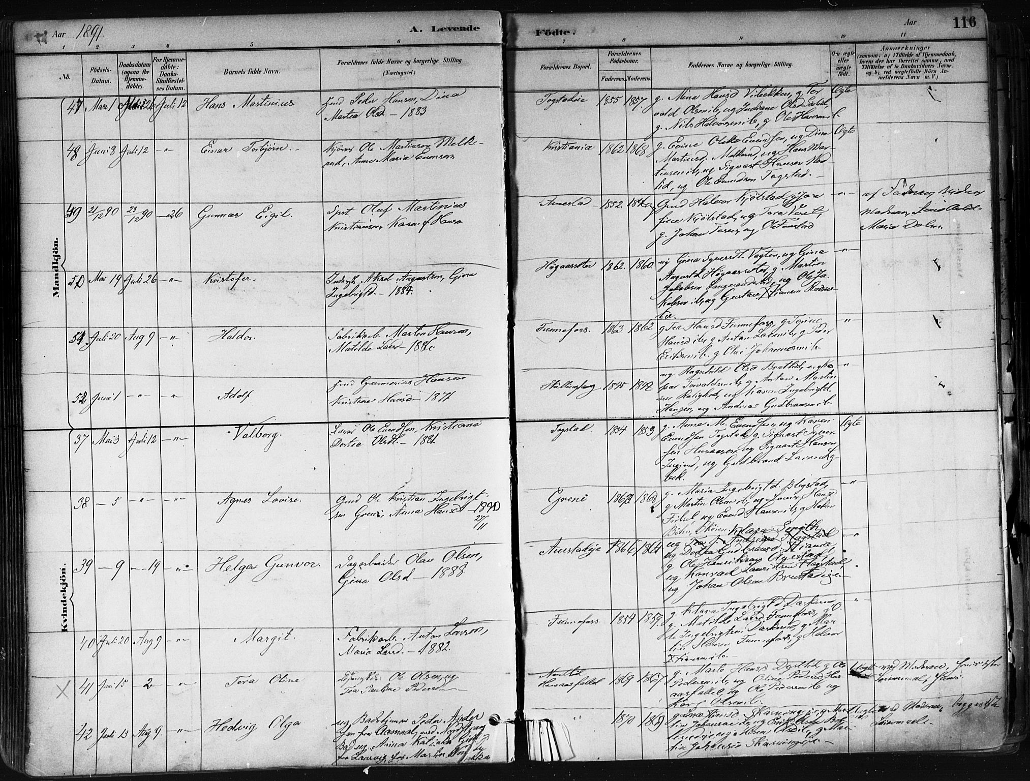 Nes prestekontor Kirkebøker, SAO/A-10410/F/Fa/L0010: Parish register (official) no. I 10, 1883-1898, p. 116